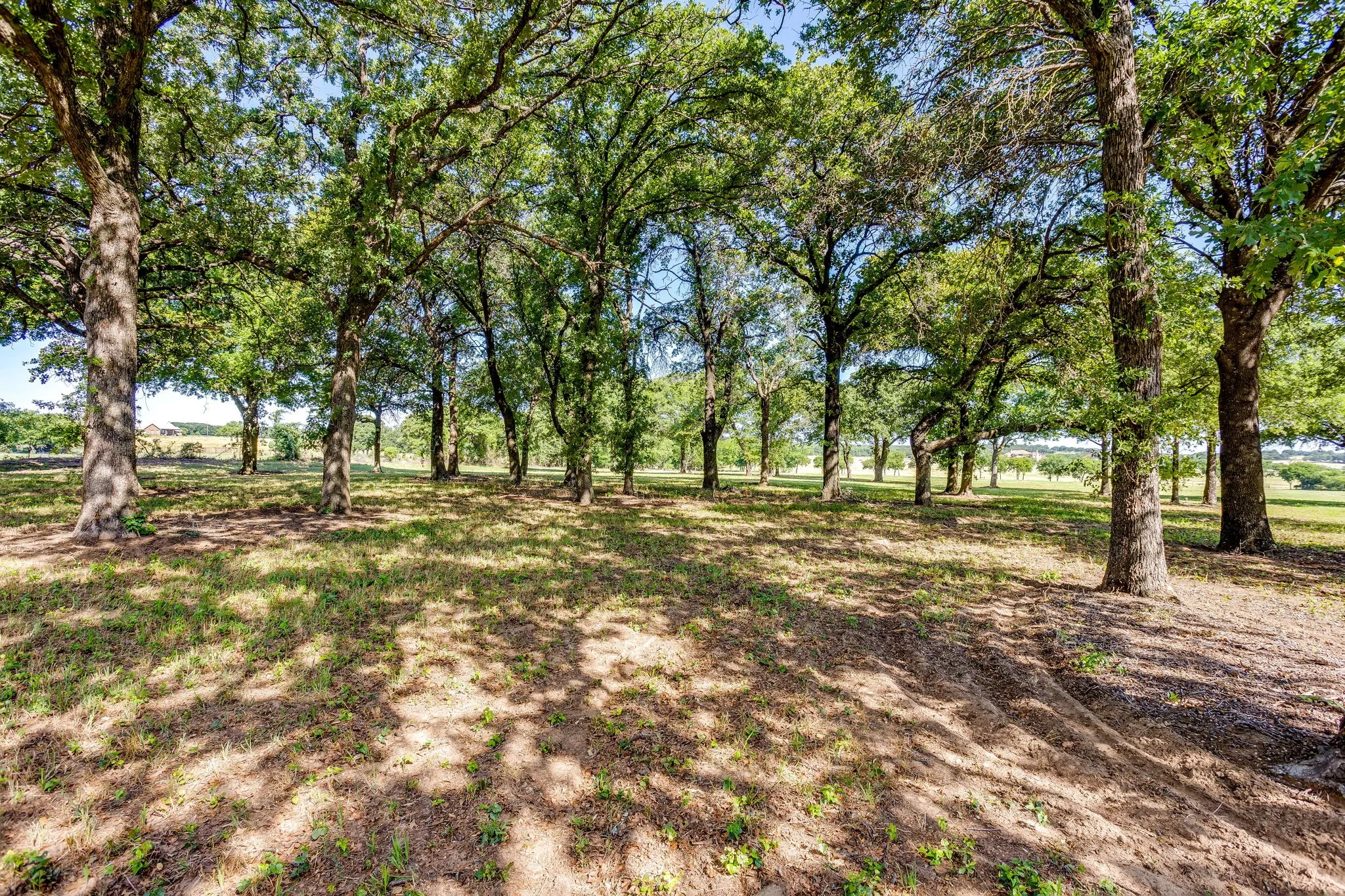 Unimproved Land For Sale in Johnson County , TBD County Road 1021, Burleson, Texas 76028, 0, 0, Garage spaces, 0 Sqft, built in 0, Price $4,615,930, mls#21290101, Real Estate Agent in Burleson, Homes For Sale in Johnson county, Homes For Sale in Burleson, Realtor in Burleson Texas, Real Estate Brokerage Independent Realty Texas, Luminita Cordes Realtor