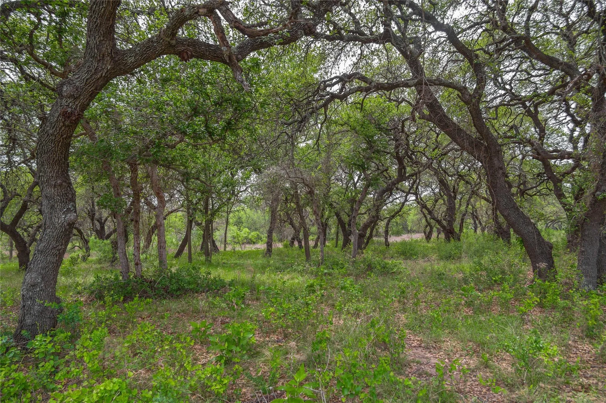 Ranch For Sale in Comanche County , Lot 29 & 30 Comanche Hills Drive, Comanche, Texas 76442, 0, 0, Garage spaces, 0 Sqft, built in 0, mls#21290215, Real Estate Agent in Comanche, Homes For Sale in Comanche county, Homes For Sale in Comanche, Realtor in Comanche Texas, Real Estate Brokerage Independent Realty Texas, Luminita Cordes Realtor