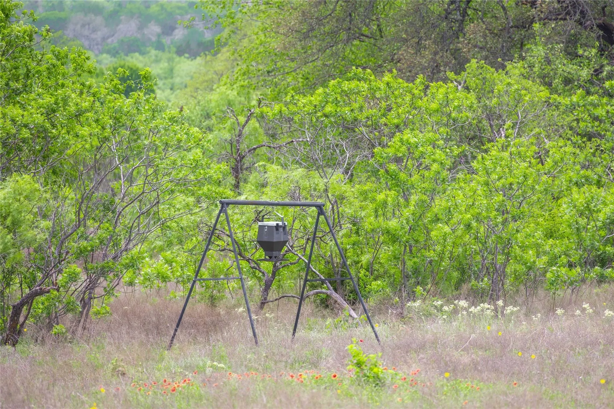 Ranch For Sale in Comanche County , Lot 29 & 30 Comanche Hills Drive, Comanche, Texas 76442, 0, 0, Garage spaces, 0 Sqft, built in 0, mls#21290215, Real Estate Agent in Comanche, Homes For Sale in Comanche county, Homes For Sale in Comanche, Realtor in Comanche Texas, Real Estate Brokerage Independent Realty Texas, Luminita Cordes Realtor