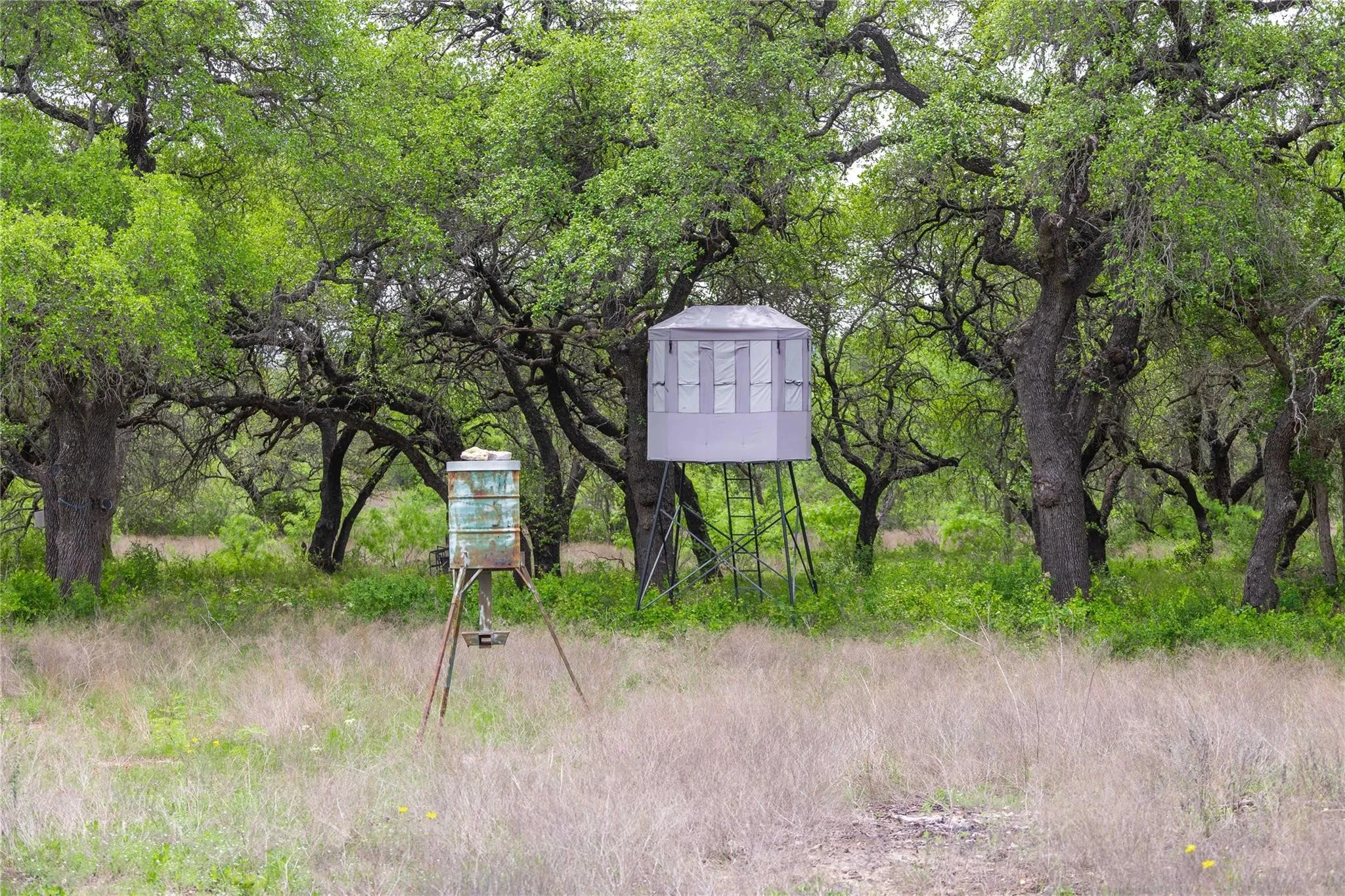 Ranch For Sale in Comanche County , Lot 29 & 30 Comanche Hills Drive, Comanche, Texas 76442, 0, 0, Garage spaces, 0 Sqft, built in 0, mls#21290215, Real Estate Agent in Comanche, Homes For Sale in Comanche county, Homes For Sale in Comanche, Realtor in Comanche Texas, Real Estate Brokerage Independent Realty Texas, Luminita Cordes Realtor