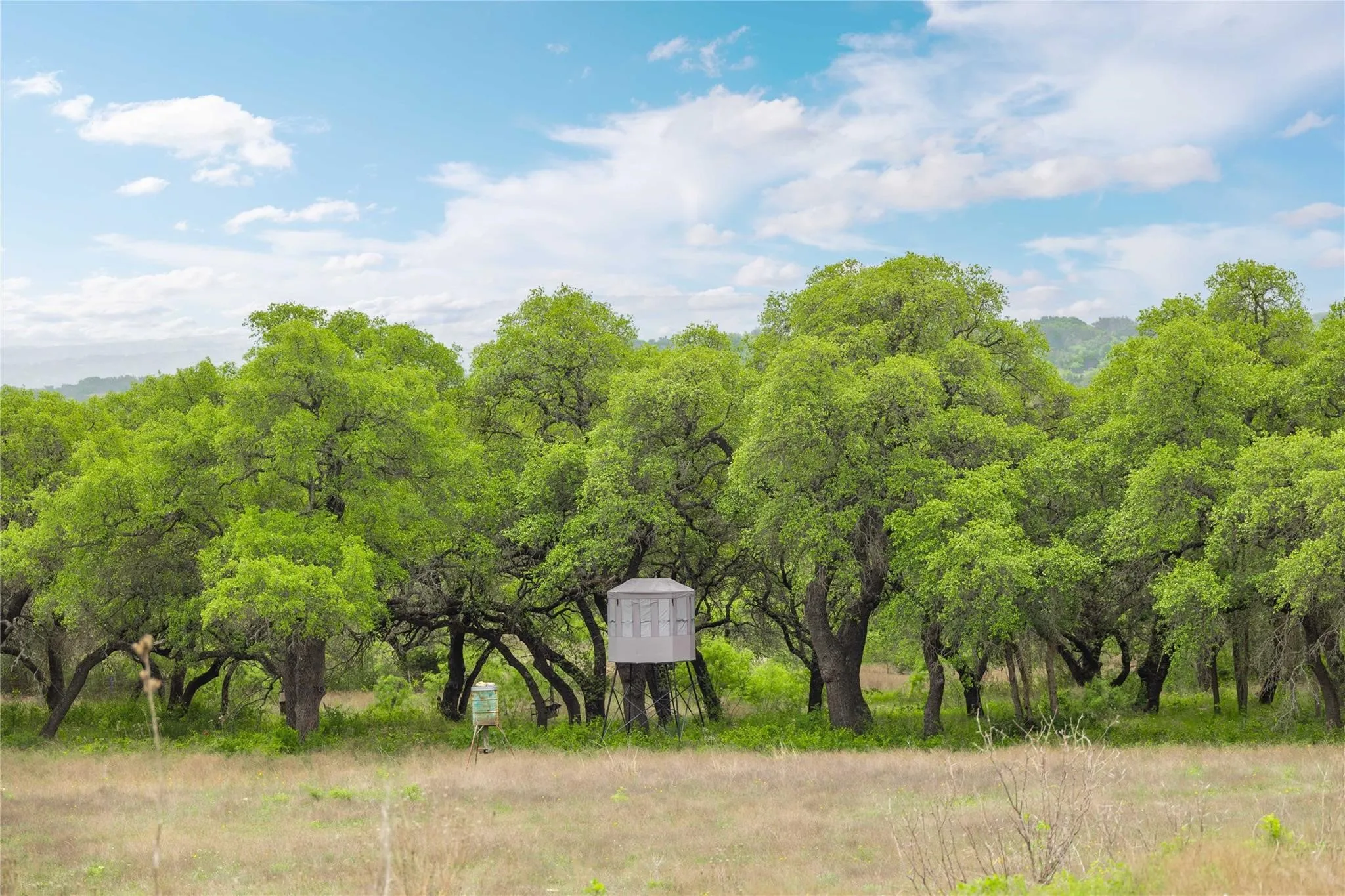 Ranch For Sale in Comanche County , Lot 29 & 30 Comanche Hills Drive, Comanche, Texas 76442, 0, 0, Garage spaces, 0 Sqft, built in 0, mls#21290215, Real Estate Agent in Comanche, Homes For Sale in Comanche county, Homes For Sale in Comanche, Realtor in Comanche Texas, Real Estate Brokerage Independent Realty Texas, Luminita Cordes Realtor