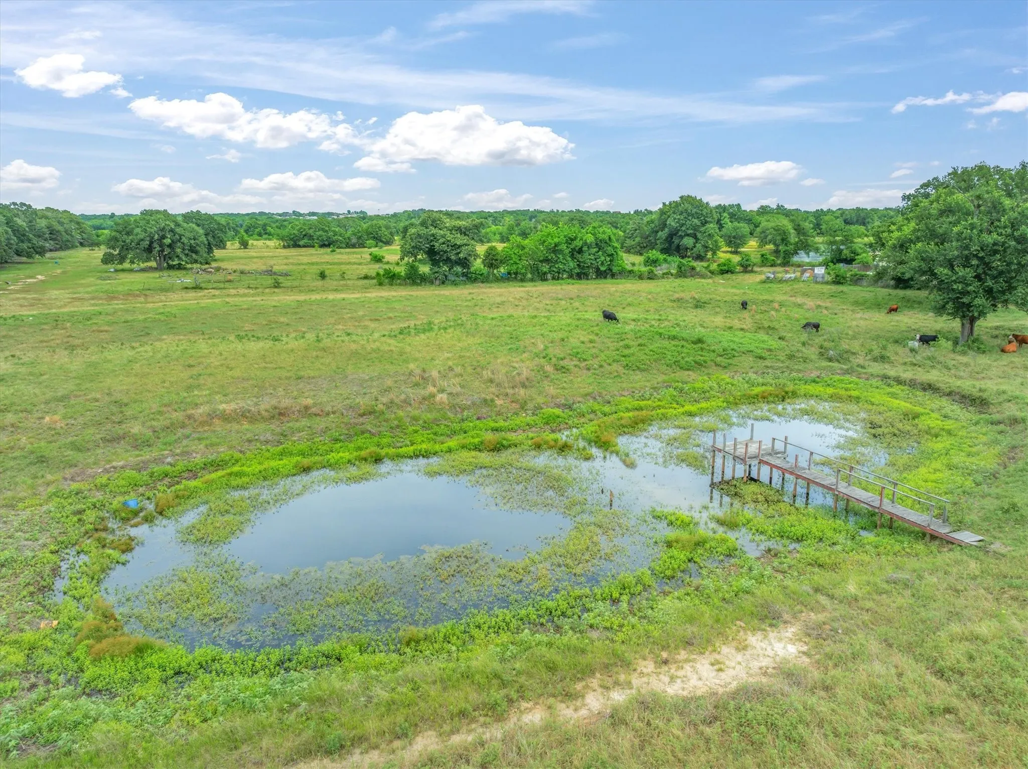 Ranch For Sale in Kaufman County , 1576 County Road 303, Terrell, Texas 75160, 0, 0, Garage spaces, 0 Sqft, built in 1980, Price $1,125,000, mls#21283890, Real Estate Agent in Terrell, Homes For Sale in Kaufman county, Homes For Sale in Terrell, Realtor in Terrell Texas, Real Estate Brokerage Independent Realty Texas, Luminita Cordes Realtor
