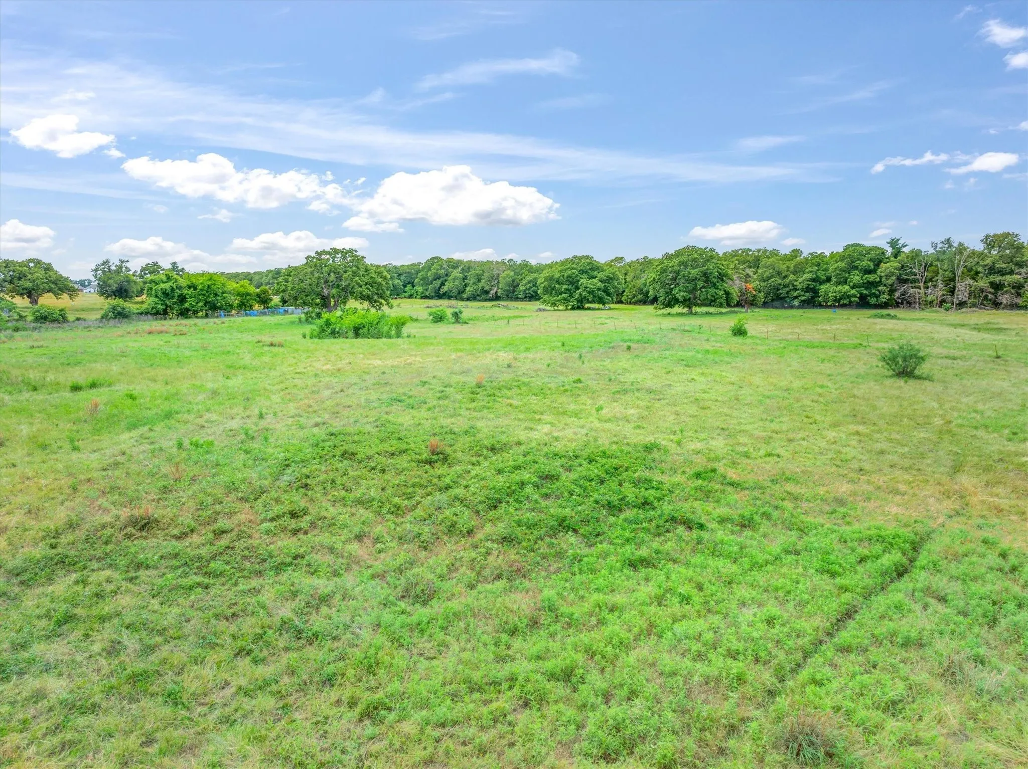 Ranch For Sale in Kaufman County , 1576 County Road 303, Terrell, Texas 75160, 0, 0, Garage spaces, 0 Sqft, built in 1980, Price $1,125,000, mls#21283890, Real Estate Agent in Terrell, Homes For Sale in Kaufman county, Homes For Sale in Terrell, Realtor in Terrell Texas, Real Estate Brokerage Independent Realty Texas, Luminita Cordes Realtor