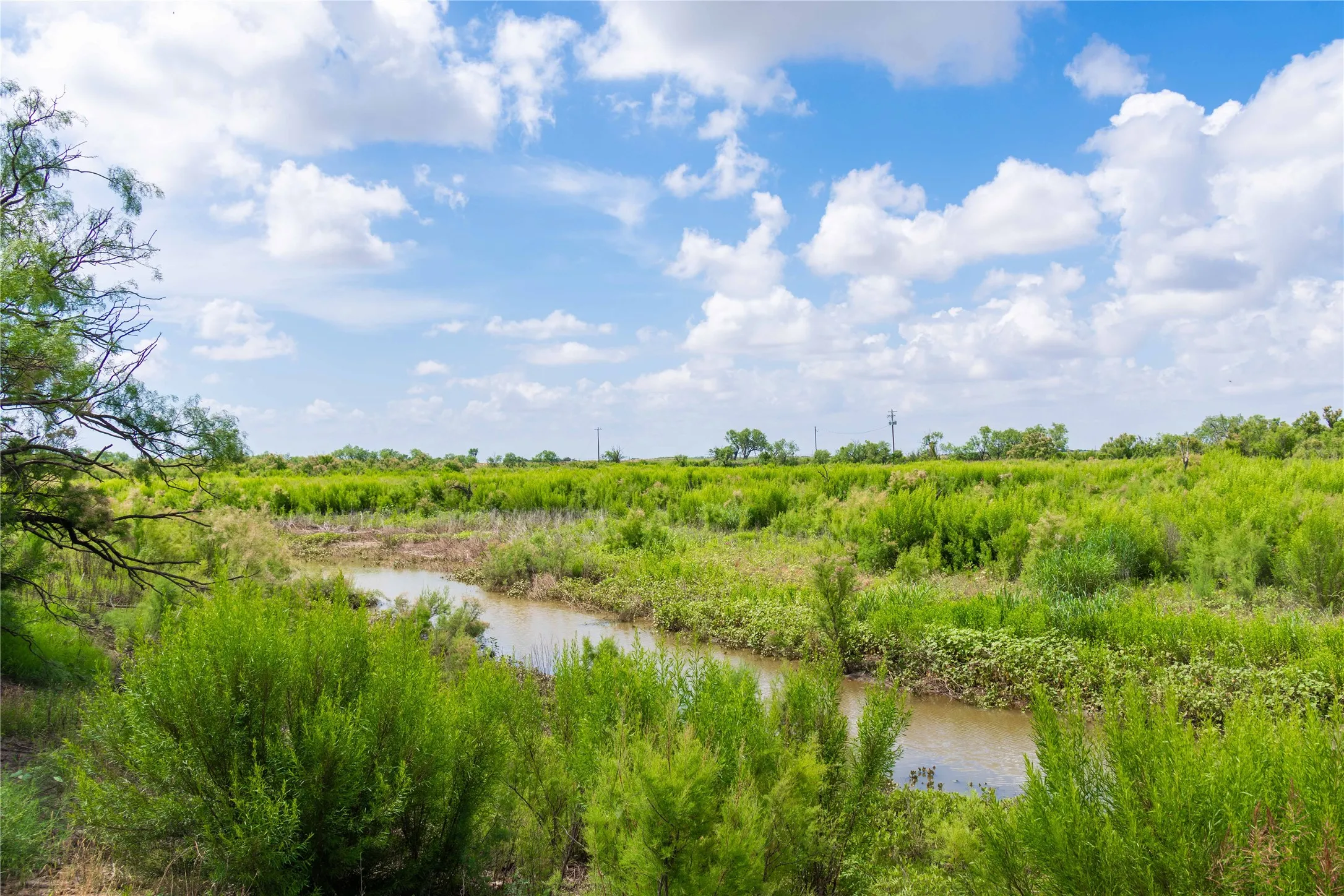 Ranch For Sale in Runnels County , 9999 CR 296, Ballinger, Texas 76821, 0, 0, Garage spaces, 0 Sqft, built in 0, Price $789,000, mls#21290257, Real Estate Agent in Ballinger, Homes For Sale in Runnels county, Homes For Sale in Ballinger, Realtor in Ballinger Texas, Real Estate Brokerage Independent Realty Texas, Luminita Cordes Realtor