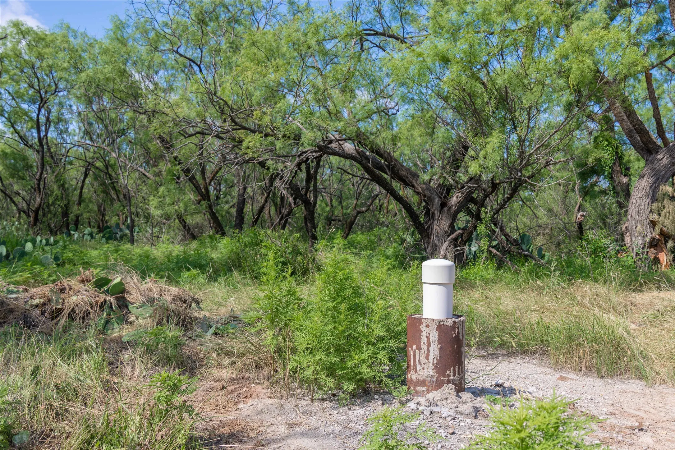 Ranch For Sale in Runnels County , 9999 CR 296, Ballinger, Texas 76821, 0, 0, Garage spaces, 0 Sqft, built in 0, Price $789,000, mls#21290257, Real Estate Agent in Ballinger, Homes For Sale in Runnels county, Homes For Sale in Ballinger, Realtor in Ballinger Texas, Real Estate Brokerage Independent Realty Texas, Luminita Cordes Realtor