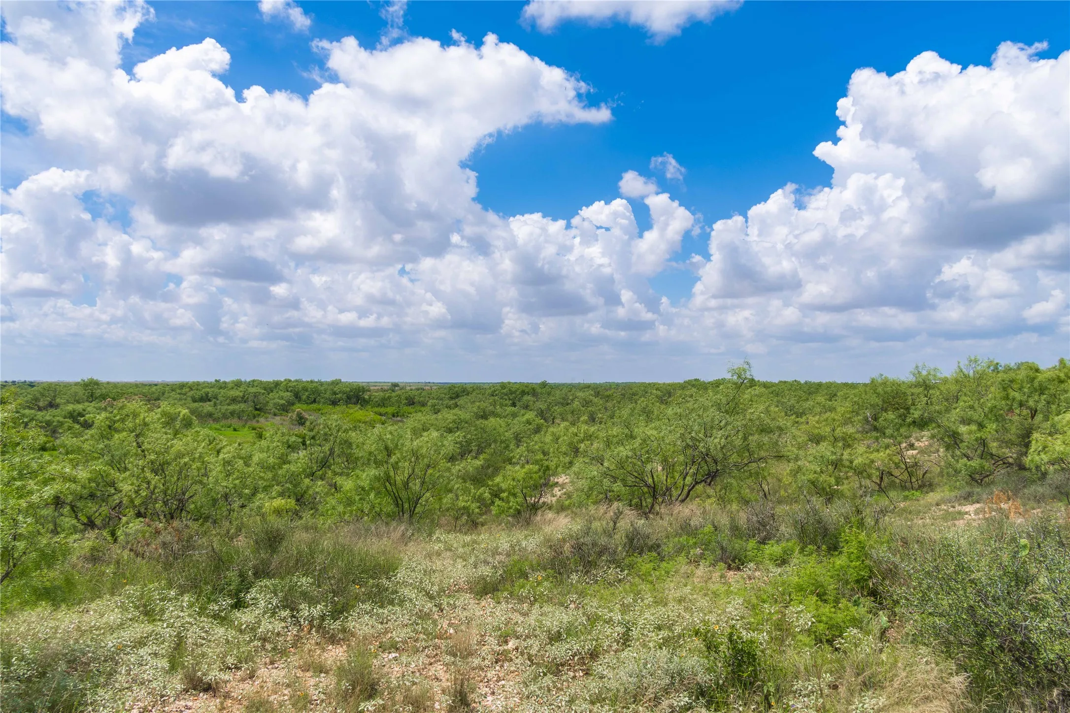 Ranch For Sale in Runnels County , 9999 CR 296, Ballinger, Texas 76821, 0, 0, Garage spaces, 0 Sqft, built in 0, Price $789,000, mls#21290257, Real Estate Agent in Ballinger, Homes For Sale in Runnels county, Homes For Sale in Ballinger, Realtor in Ballinger Texas, Real Estate Brokerage Independent Realty Texas, Luminita Cordes Realtor