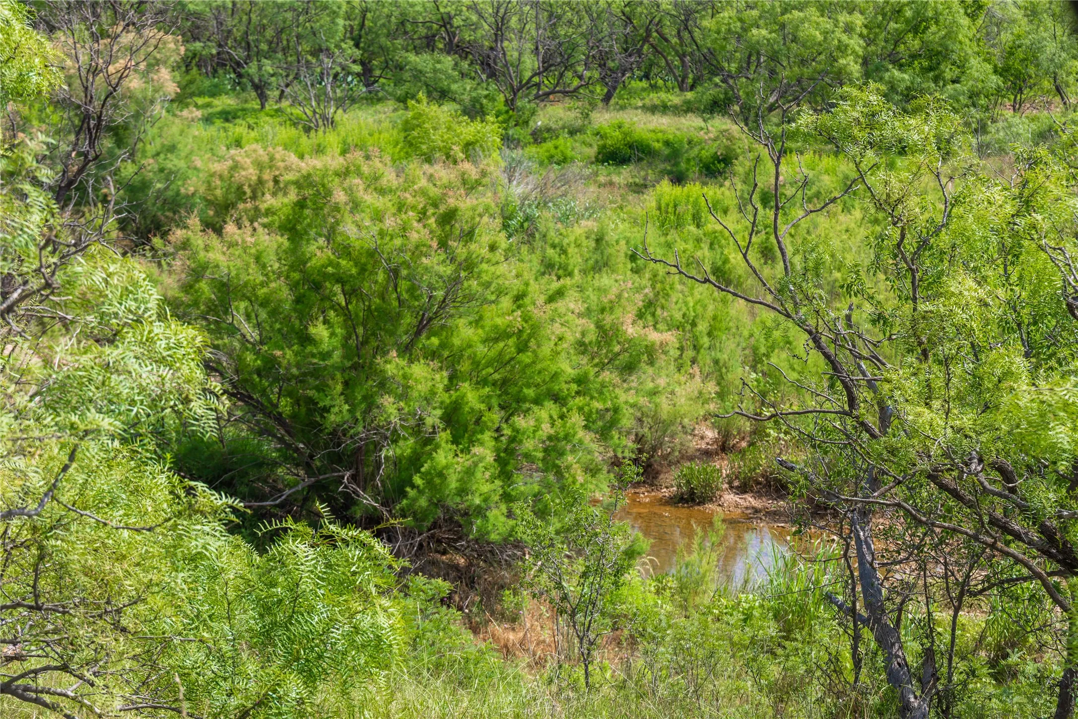 Ranch For Sale in Runnels County , 9999 CR 296, Ballinger, Texas 76821, 0, 0, Garage spaces, 0 Sqft, built in 0, Price $789,000, mls#21290257, Real Estate Agent in Ballinger, Homes For Sale in Runnels county, Homes For Sale in Ballinger, Realtor in Ballinger Texas, Real Estate Brokerage Independent Realty Texas, Luminita Cordes Realtor