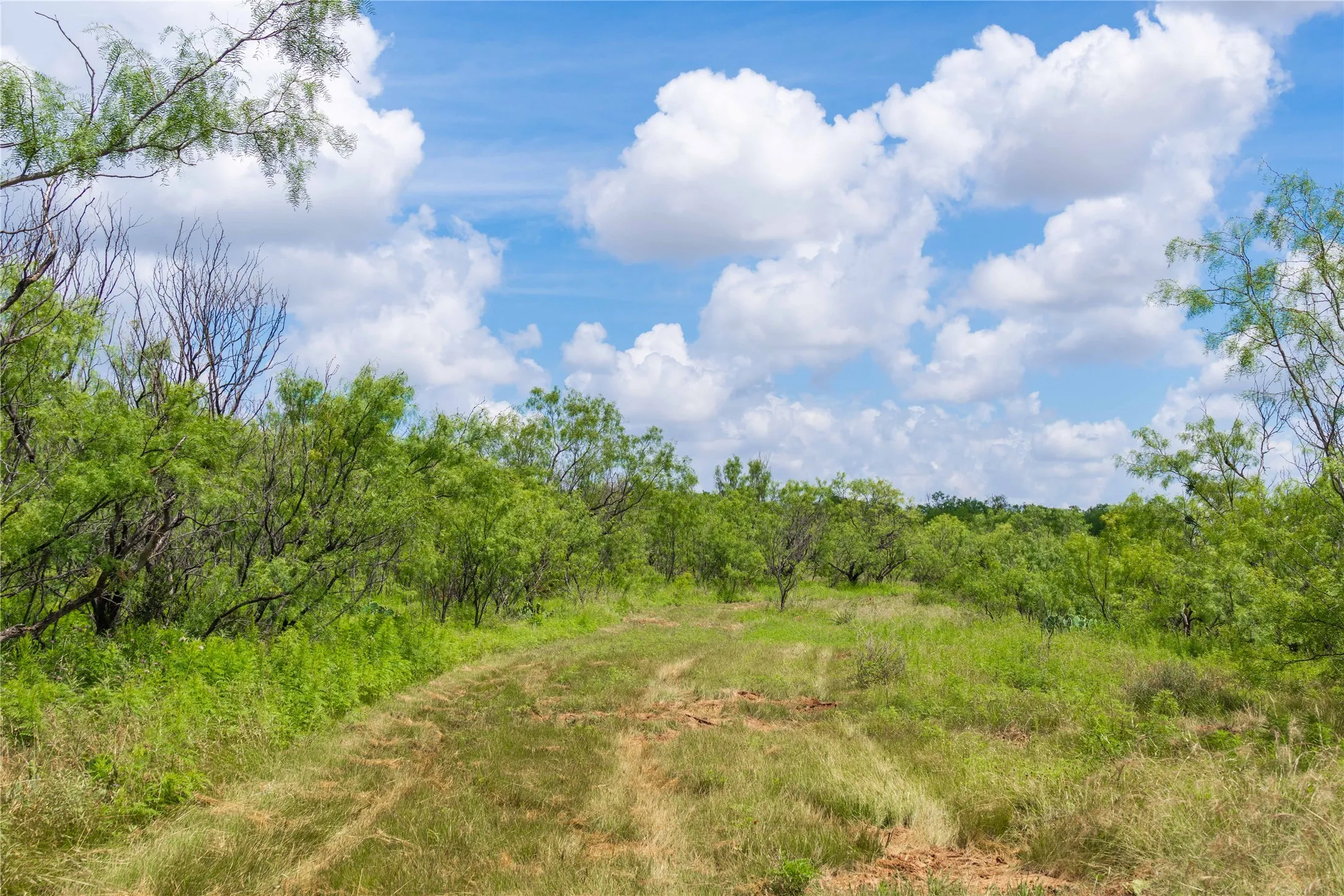 Ranch For Sale in Runnels County , 9999 CR 296, Ballinger, Texas 76821, 0, 0, Garage spaces, 0 Sqft, built in 0, Price $789,000, mls#21290257, Real Estate Agent in Ballinger, Homes For Sale in Runnels county, Homes For Sale in Ballinger, Realtor in Ballinger Texas, Real Estate Brokerage Independent Realty Texas, Luminita Cordes Realtor