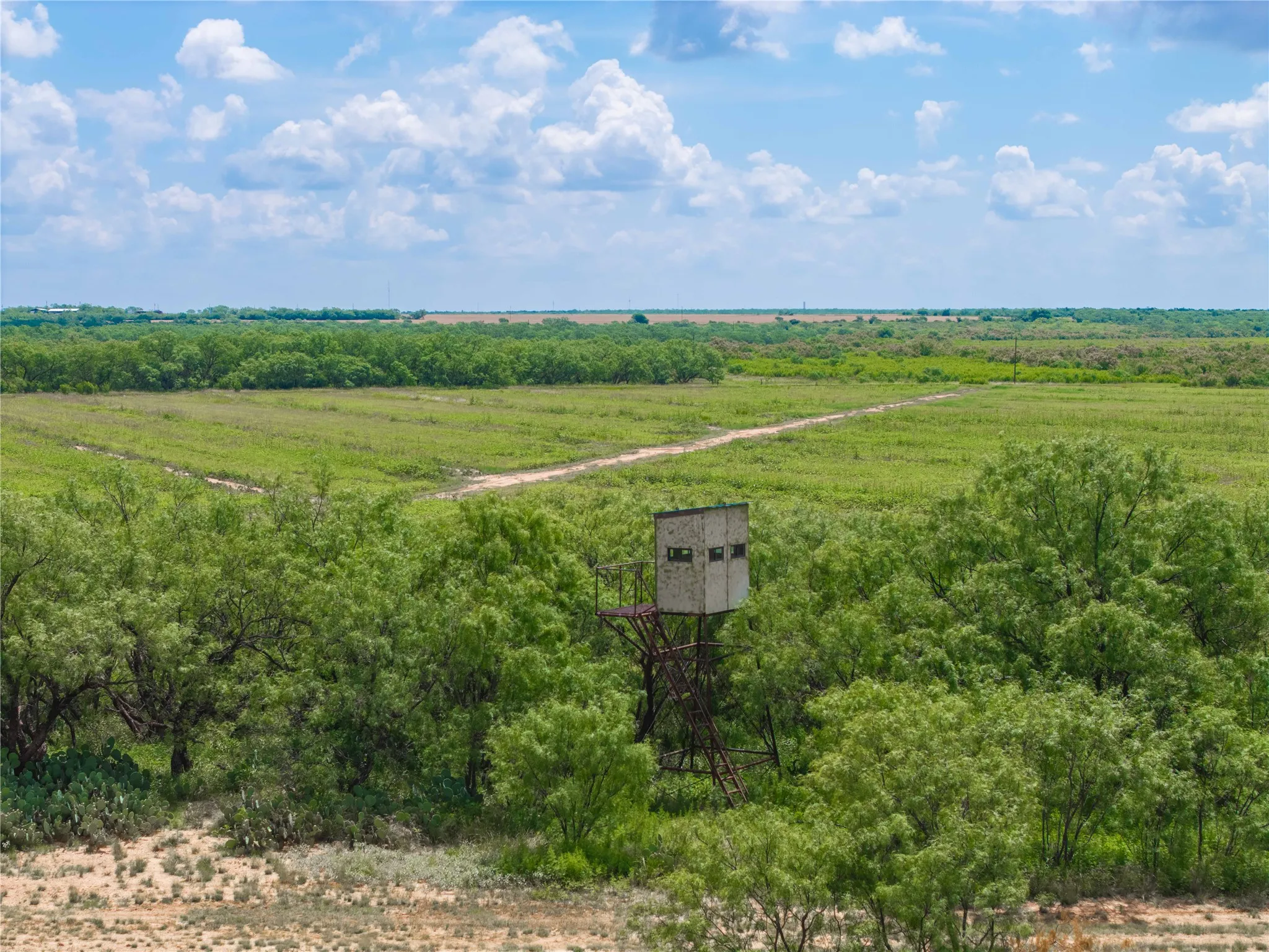 Ranch For Sale in Runnels County , 9999 CR 296, Ballinger, Texas 76821, 0, 0, Garage spaces, 0 Sqft, built in 0, Price $789,000, mls#21290257, Real Estate Agent in Ballinger, Homes For Sale in Runnels county, Homes For Sale in Ballinger, Realtor in Ballinger Texas, Real Estate Brokerage Independent Realty Texas, Luminita Cordes Realtor