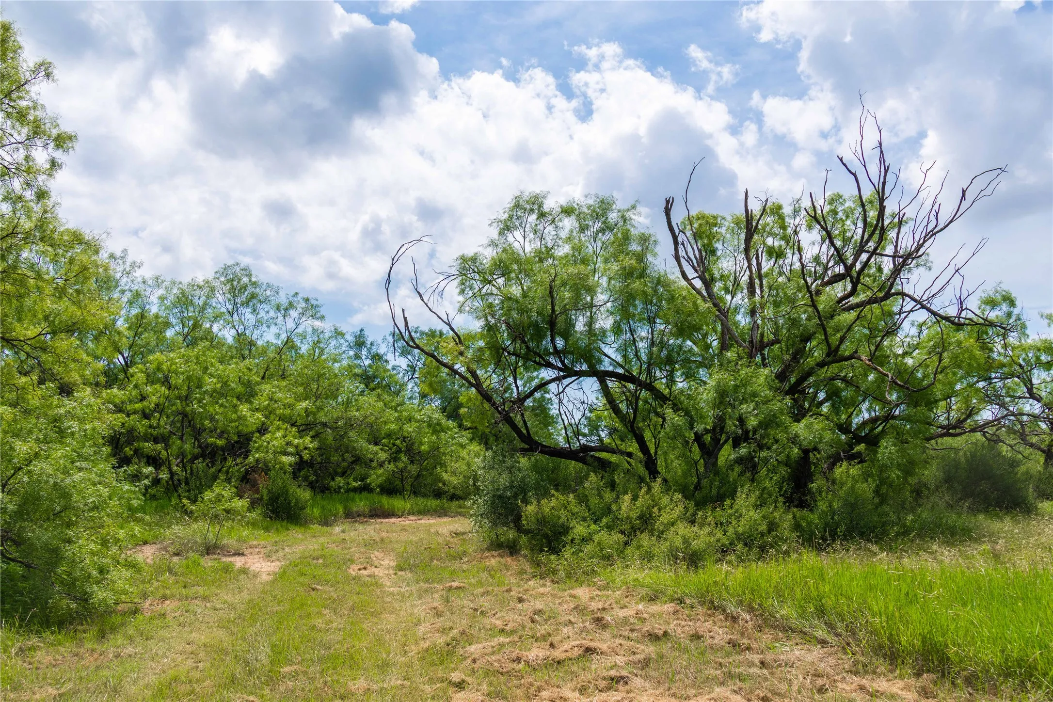 Ranch For Sale in Runnels County , 9999 CR 296, Ballinger, Texas 76821, 0, 0, Garage spaces, 0 Sqft, built in 0, Price $789,000, mls#21290257, Real Estate Agent in Ballinger, Homes For Sale in Runnels county, Homes For Sale in Ballinger, Realtor in Ballinger Texas, Real Estate Brokerage Independent Realty Texas, Luminita Cordes Realtor