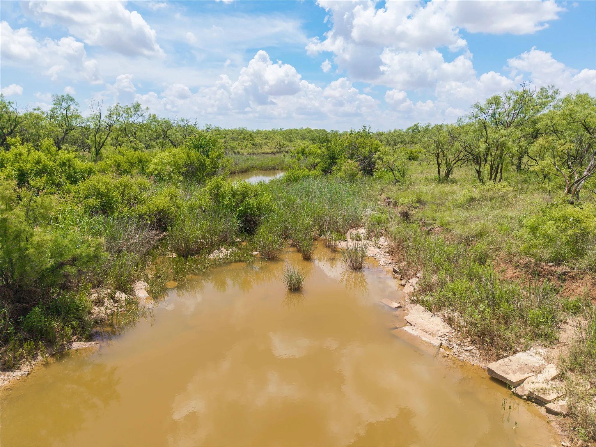 Ranch For Sale in Runnels County , 9999 CR 296, Ballinger, Texas 76821, 0, 0, Garage spaces, 0 Sqft, built in 0, Price $789,000, mls#21290257, Real Estate Agent in Ballinger, Homes For Sale in Runnels county, Homes For Sale in Ballinger, Realtor in Ballinger Texas, Real Estate Brokerage Independent Realty Texas, Luminita Cordes Realtor