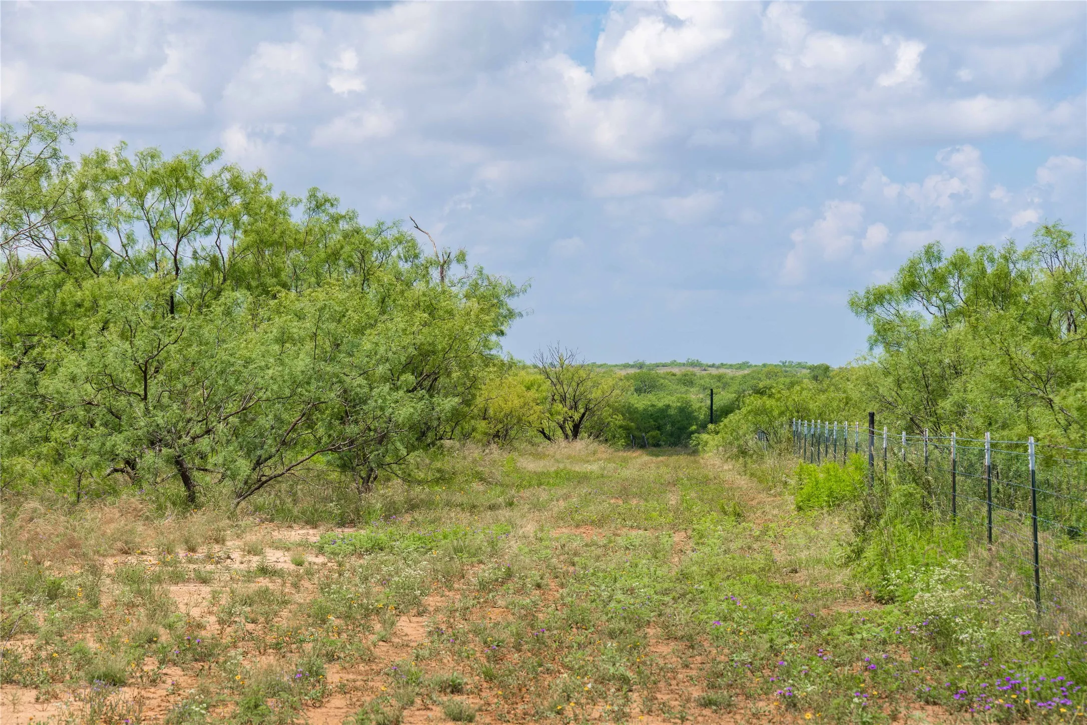 Ranch For Sale in Runnels County , 9999 CR 296, Ballinger, Texas 76821, 0, 0, Garage spaces, 0 Sqft, built in 0, Price $789,000, mls#21290257, Real Estate Agent in Ballinger, Homes For Sale in Runnels county, Homes For Sale in Ballinger, Realtor in Ballinger Texas, Real Estate Brokerage Independent Realty Texas, Luminita Cordes Realtor