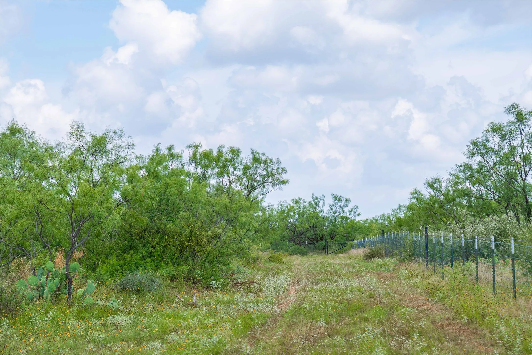 Ranch For Sale in Runnels County , 9999 CR 296, Ballinger, Texas 76821, 0, 0, Garage spaces, 0 Sqft, built in 0, Price $789,000, mls#21290257, Real Estate Agent in Ballinger, Homes For Sale in Runnels county, Homes For Sale in Ballinger, Realtor in Ballinger Texas, Real Estate Brokerage Independent Realty Texas, Luminita Cordes Realtor