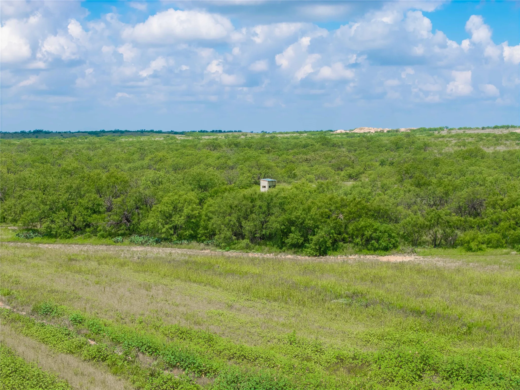 Ranch For Sale in Runnels County , 9999 CR 296, Ballinger, Texas 76821, 0, 0, Garage spaces, 0 Sqft, built in 0, Price $789,000, mls#21290257, Real Estate Agent in Ballinger, Homes For Sale in Runnels county, Homes For Sale in Ballinger, Realtor in Ballinger Texas, Real Estate Brokerage Independent Realty Texas, Luminita Cordes Realtor