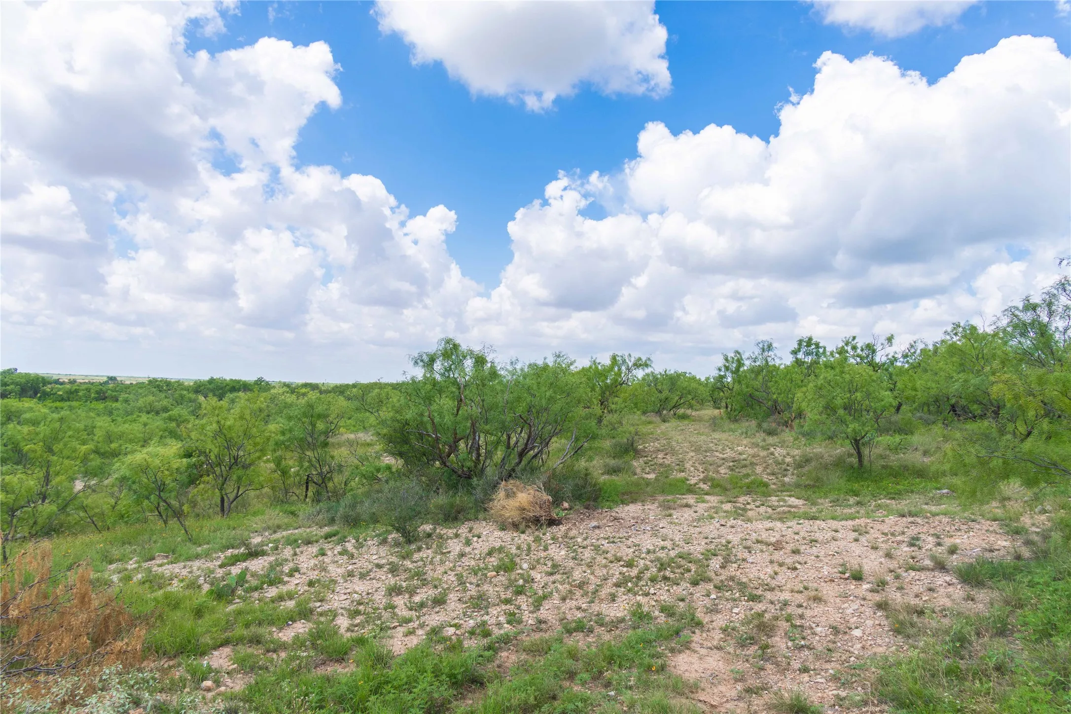 Ranch For Sale in Runnels County , 9999 CR 296, Ballinger, Texas 76821, 0, 0, Garage spaces, 0 Sqft, built in 0, Price $789,000, mls#21290257, Real Estate Agent in Ballinger, Homes For Sale in Runnels county, Homes For Sale in Ballinger, Realtor in Ballinger Texas, Real Estate Brokerage Independent Realty Texas, Luminita Cordes Realtor