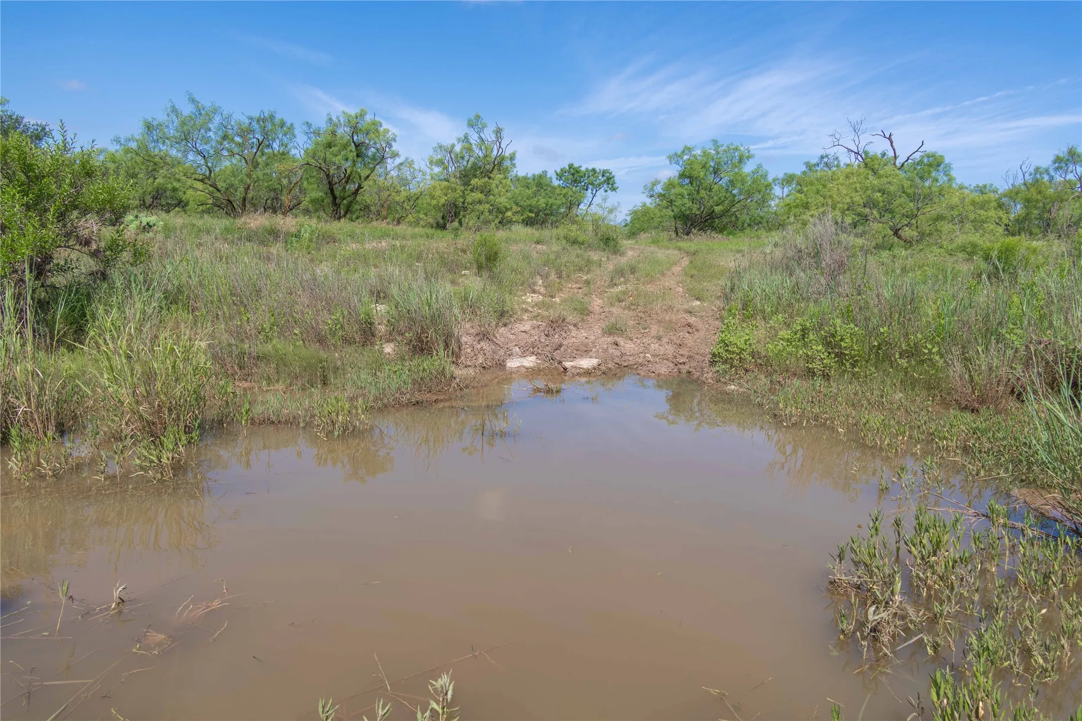 Ranch For Sale in Runnels County , 9999 CR 296, Ballinger, Texas 76821, 0, 0, Garage spaces, 0 Sqft, built in 0, Price $789,000, mls#21290257, Real Estate Agent in Ballinger, Homes For Sale in Runnels county, Homes For Sale in Ballinger, Realtor in Ballinger Texas, Real Estate Brokerage Independent Realty Texas, Luminita Cordes Realtor