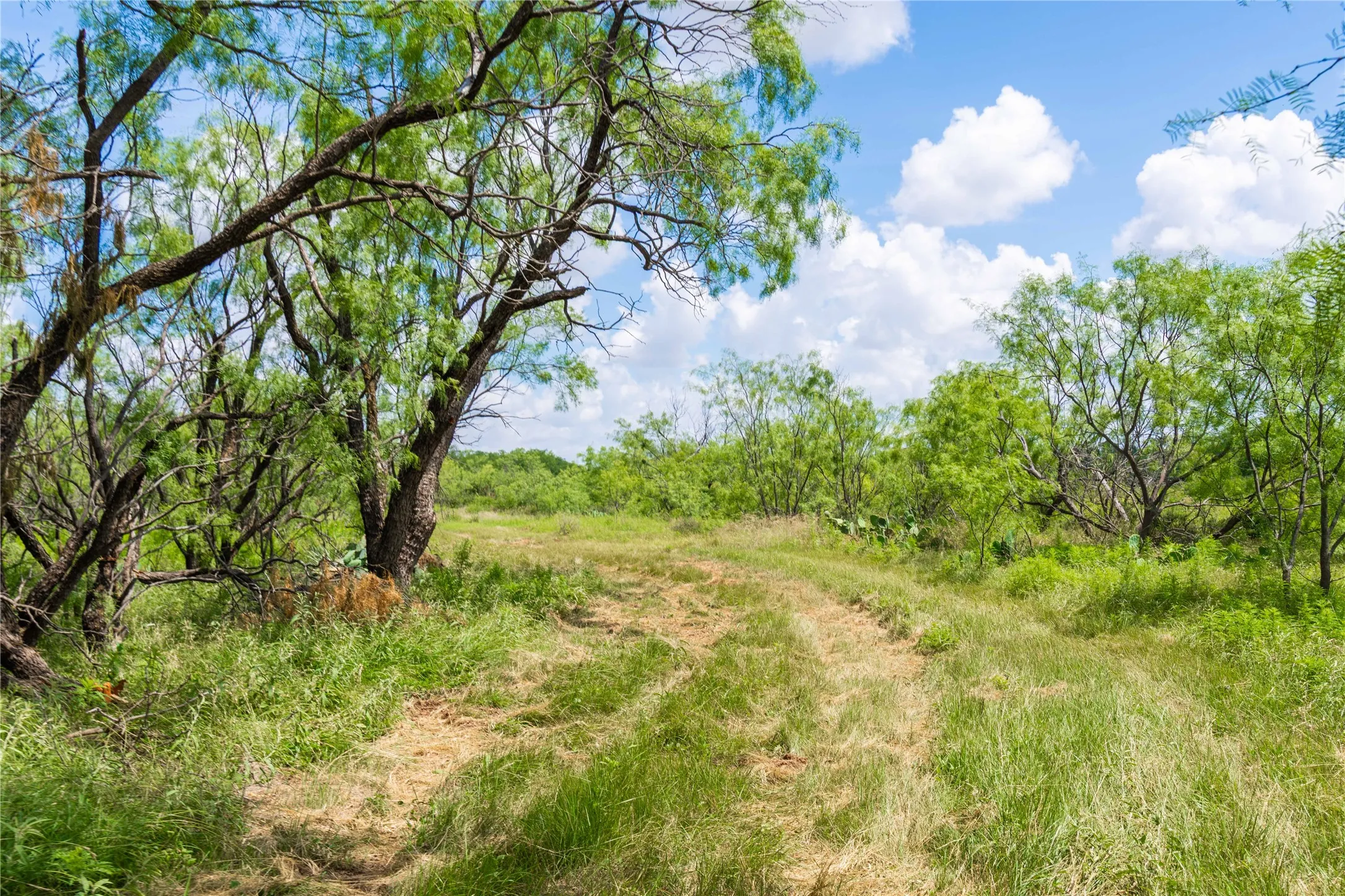 Ranch For Sale in Runnels County , 9999 CR 296, Ballinger, Texas 76821, 0, 0, Garage spaces, 0 Sqft, built in 0, Price $789,000, mls#21290257, Real Estate Agent in Ballinger, Homes For Sale in Runnels county, Homes For Sale in Ballinger, Realtor in Ballinger Texas, Real Estate Brokerage Independent Realty Texas, Luminita Cordes Realtor