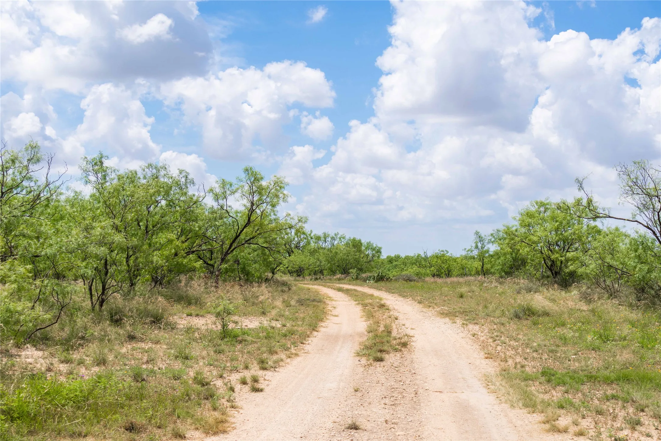 Ranch For Sale in Runnels County , 9999 CR 296, Ballinger, Texas 76821, 0, 0, Garage spaces, 0 Sqft, built in 0, Price $789,000, mls#21290257, Real Estate Agent in Ballinger, Homes For Sale in Runnels county, Homes For Sale in Ballinger, Realtor in Ballinger Texas, Real Estate Brokerage Independent Realty Texas, Luminita Cordes Realtor