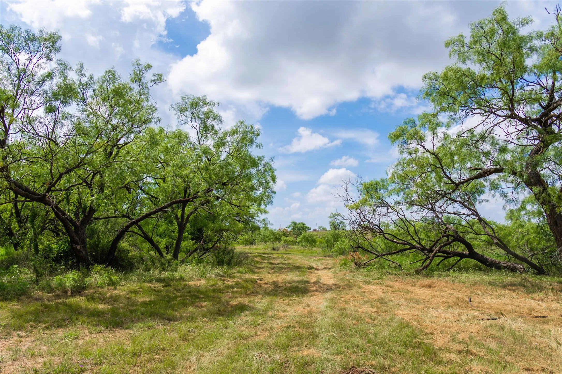 Ranch For Sale in Runnels County , 9999 CR 296, Ballinger, Texas 76821, 0, 0, Garage spaces, 0 Sqft, built in 0, Price $789,000, mls#21290257, Real Estate Agent in Ballinger, Homes For Sale in Runnels county, Homes For Sale in Ballinger, Realtor in Ballinger Texas, Real Estate Brokerage Independent Realty Texas, Luminita Cordes Realtor