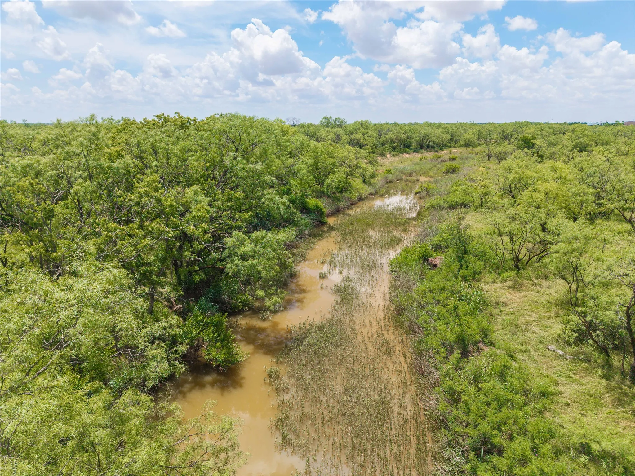 Ranch For Sale in Runnels County , 9999 CR 296, Ballinger, Texas 76821, 0, 0, Garage spaces, 0 Sqft, built in 0, Price $789,000, mls#21290257, Real Estate Agent in Ballinger, Homes For Sale in Runnels county, Homes For Sale in Ballinger, Realtor in Ballinger Texas, Real Estate Brokerage Independent Realty Texas, Luminita Cordes Realtor