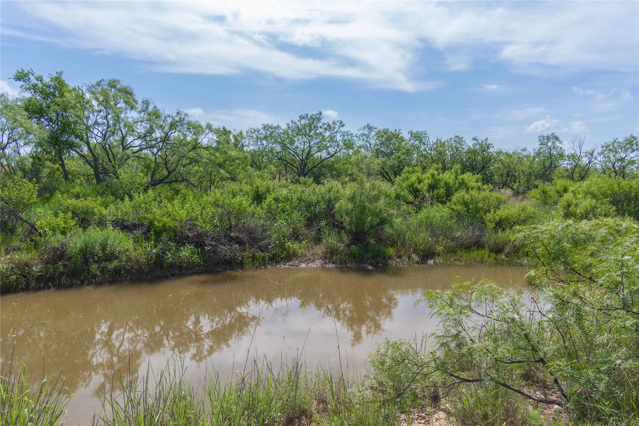Ranch For Sale in Runnels County , 9999 CR 296, Ballinger, Texas 76821, 0, 0, Garage spaces, 0 Sqft, built in 0, Price $789,000, mls#21290257, Real Estate Agent in Ballinger, Homes For Sale in Runnels county, Homes For Sale in Ballinger, Realtor in Ballinger Texas, Real Estate Brokerage Independent Realty Texas, Luminita Cordes Realtor