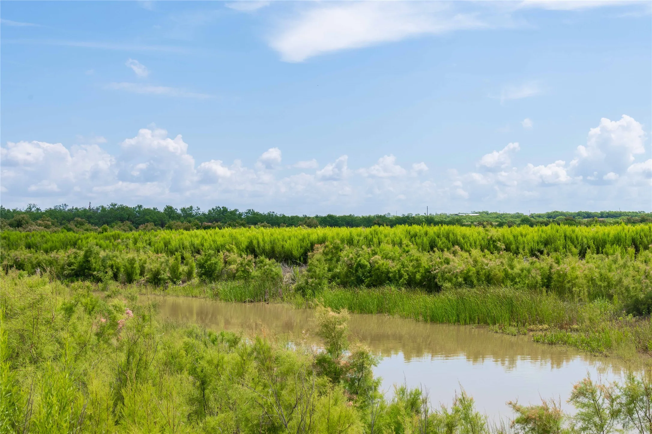 Ranch For Sale in Runnels County , 9999 CR 296, Ballinger, Texas 76821, 0, 0, Garage spaces, 0 Sqft, built in 0, Price $789,000, mls#21290257, Real Estate Agent in Ballinger, Homes For Sale in Runnels county, Homes For Sale in Ballinger, Realtor in Ballinger Texas, Real Estate Brokerage Independent Realty Texas, Luminita Cordes Realtor