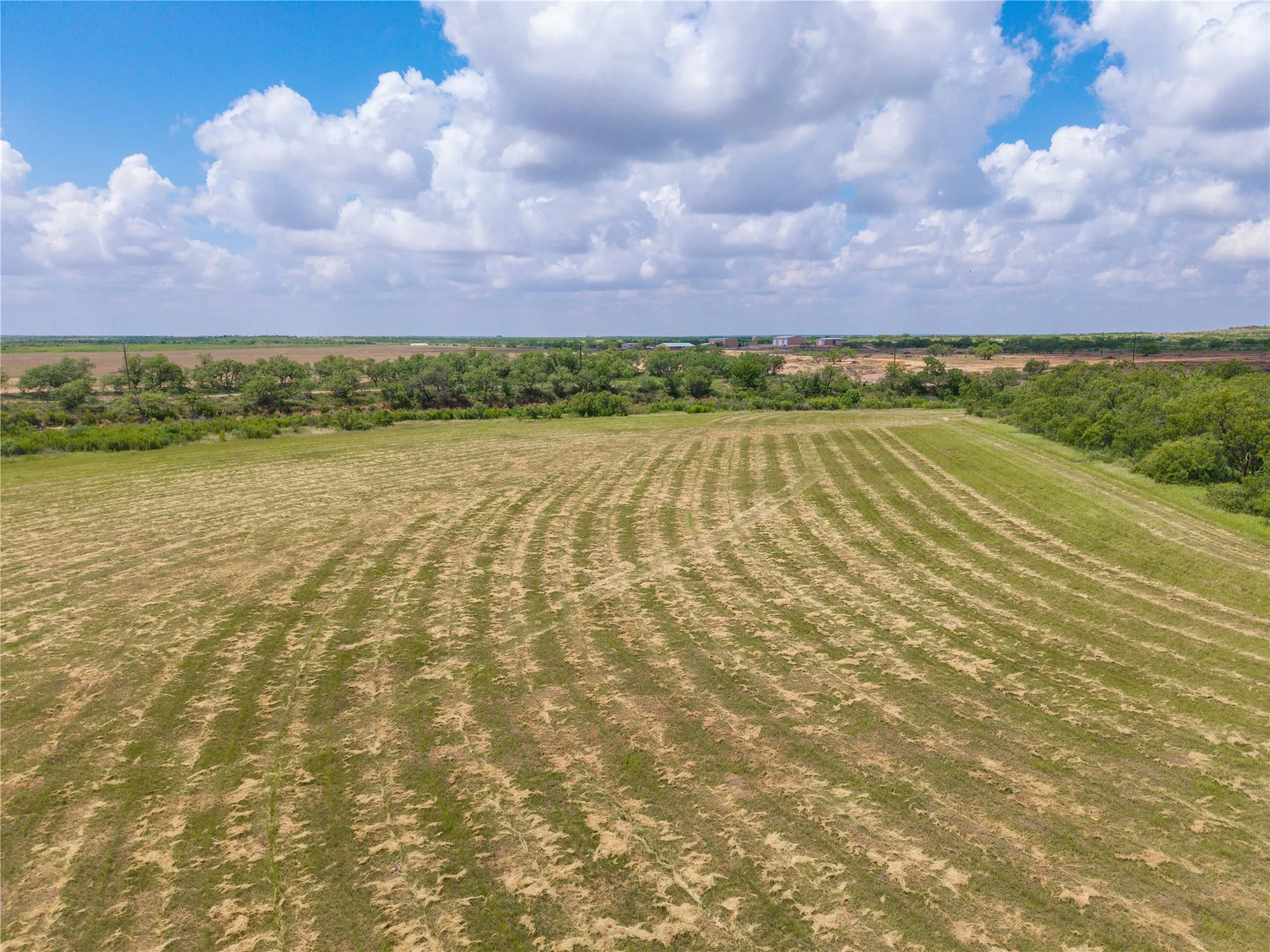 Ranch For Sale in Runnels County , 9999 CR 296, Ballinger, Texas 76821, 0, 0, Garage spaces, 0 Sqft, built in 0, Price $789,000, mls#21290257, Real Estate Agent in Ballinger, Homes For Sale in Runnels county, Homes For Sale in Ballinger, Realtor in Ballinger Texas, Real Estate Brokerage Independent Realty Texas, Luminita Cordes Realtor
