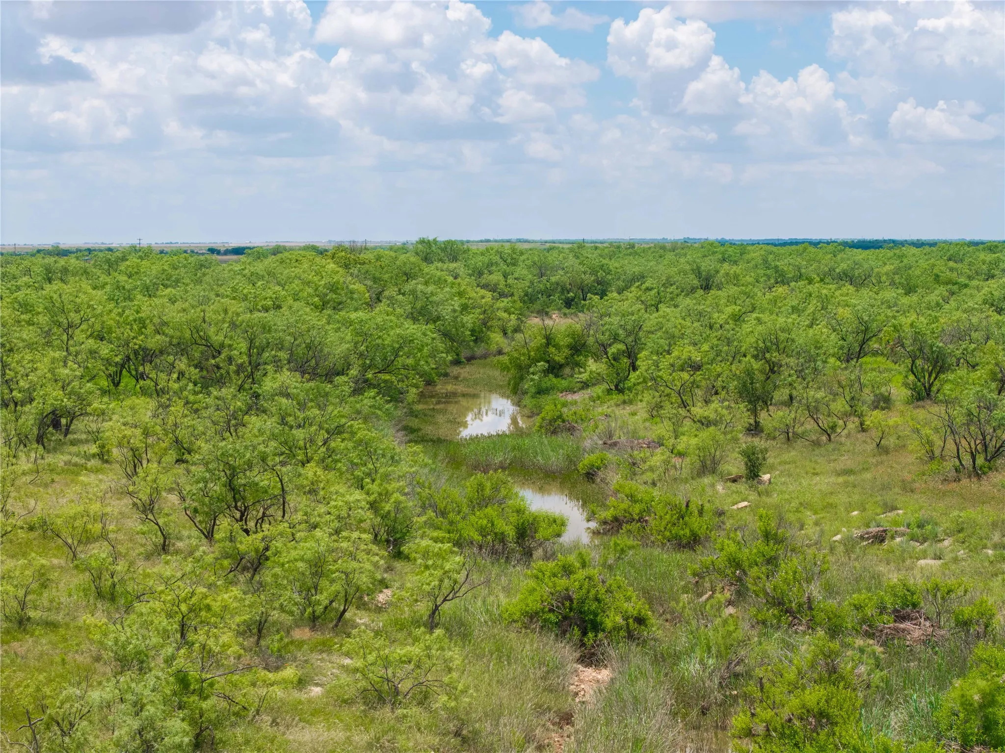 Ranch For Sale in Runnels County , 9999 CR 296, Ballinger, Texas 76821, 0, 0, Garage spaces, 0 Sqft, built in 0, Price $789,000, mls#21290257, Real Estate Agent in Ballinger, Homes For Sale in Runnels county, Homes For Sale in Ballinger, Realtor in Ballinger Texas, Real Estate Brokerage Independent Realty Texas, Luminita Cordes Realtor