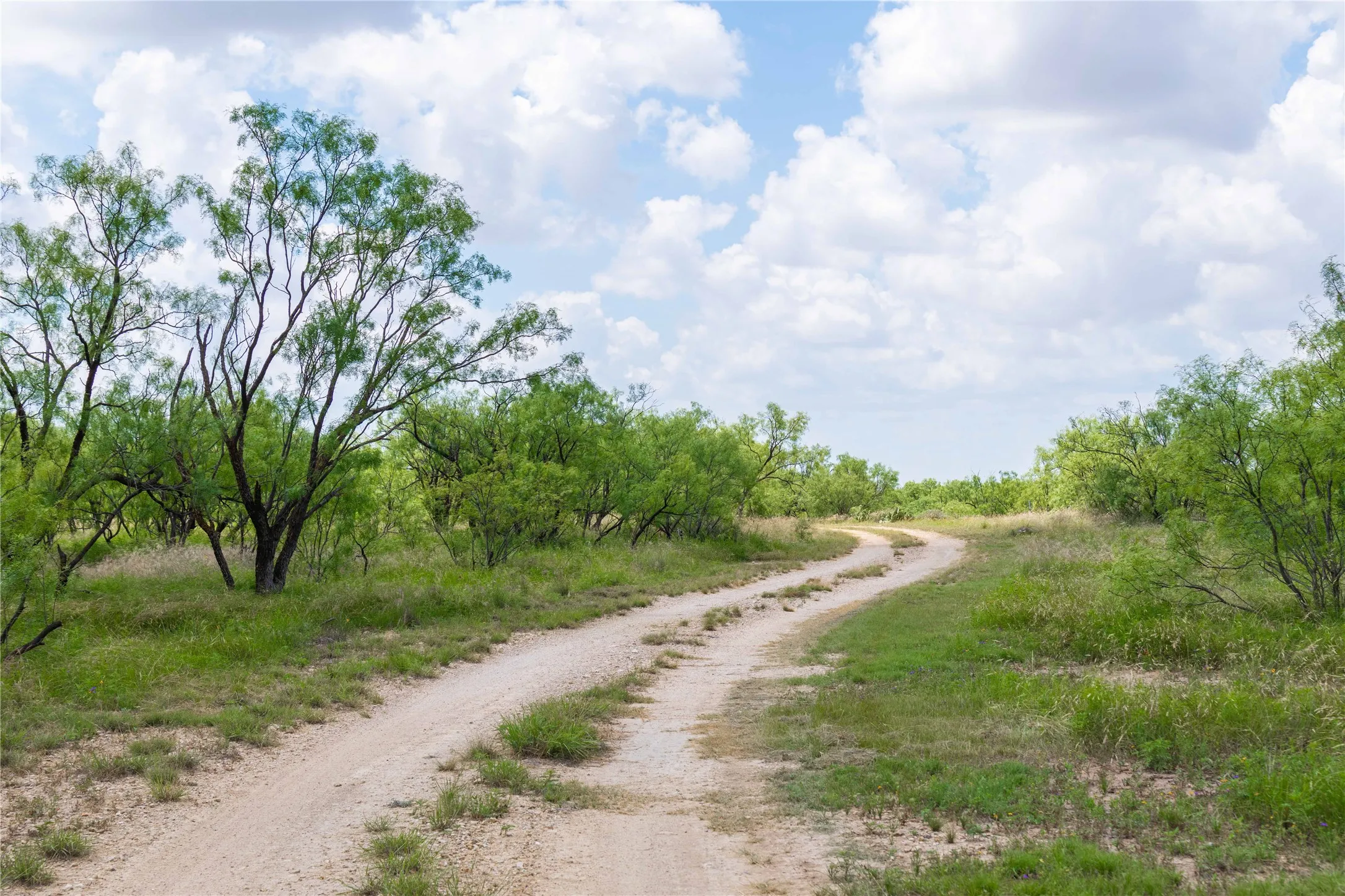 Ranch For Sale in Runnels County , 9999 CR 296, Ballinger, Texas 76821, 0, 0, Garage spaces, 0 Sqft, built in 0, Price $789,000, mls#21290257, Real Estate Agent in Ballinger, Homes For Sale in Runnels county, Homes For Sale in Ballinger, Realtor in Ballinger Texas, Real Estate Brokerage Independent Realty Texas, Luminita Cordes Realtor