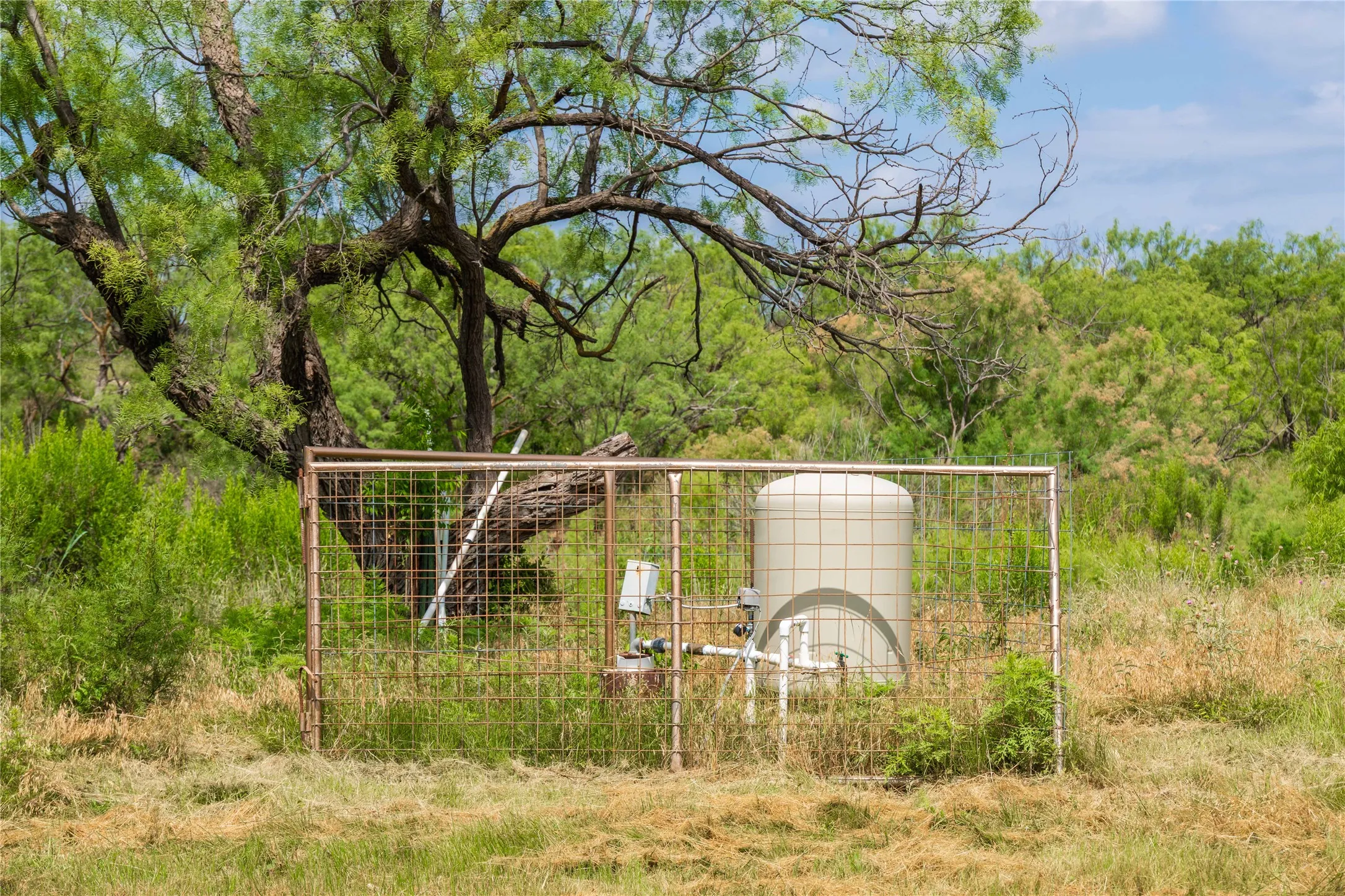 Ranch For Sale in Runnels County , 9999 CR 296, Ballinger, Texas 76821, 0, 0, Garage spaces, 0 Sqft, built in 0, Price $789,000, mls#21290257, Real Estate Agent in Ballinger, Homes For Sale in Runnels county, Homes For Sale in Ballinger, Realtor in Ballinger Texas, Real Estate Brokerage Independent Realty Texas, Luminita Cordes Realtor