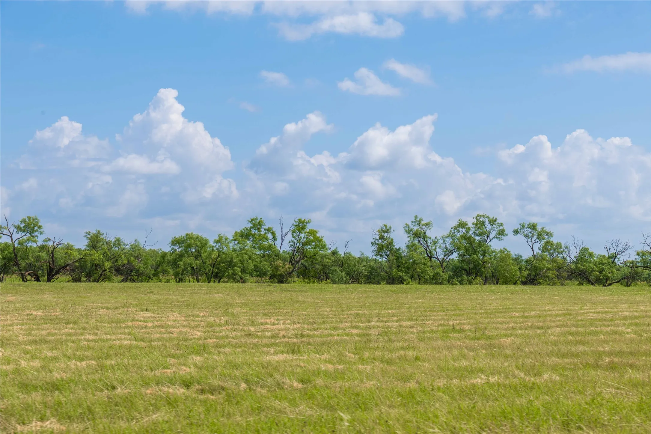 Ranch For Sale in Runnels County , 9999 CR 296, Ballinger, Texas 76821, 0, 0, Garage spaces, 0 Sqft, built in 0, Price $789,000, mls#21290257, Real Estate Agent in Ballinger, Homes For Sale in Runnels county, Homes For Sale in Ballinger, Realtor in Ballinger Texas, Real Estate Brokerage Independent Realty Texas, Luminita Cordes Realtor