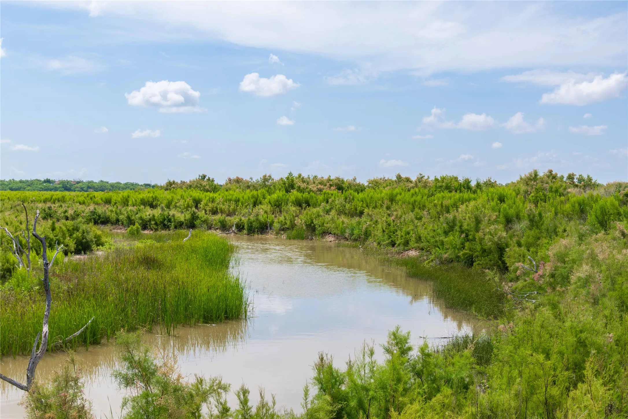 Ranch For Sale in Runnels County , 9999 CR 296, Ballinger, Texas 76821, 0, 0, Garage spaces, 0 Sqft, built in 0, Price $789,000, mls#21290257, Real Estate Agent in Ballinger, Homes For Sale in Runnels county, Homes For Sale in Ballinger, Realtor in Ballinger Texas, Real Estate Brokerage Independent Realty Texas, Luminita Cordes Realtor