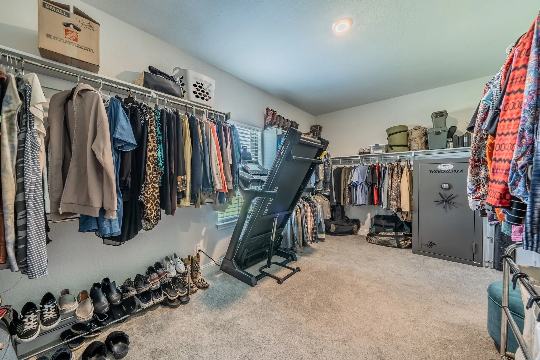 Master closet with carpet flooring, recessed lighting, and a window for natural light