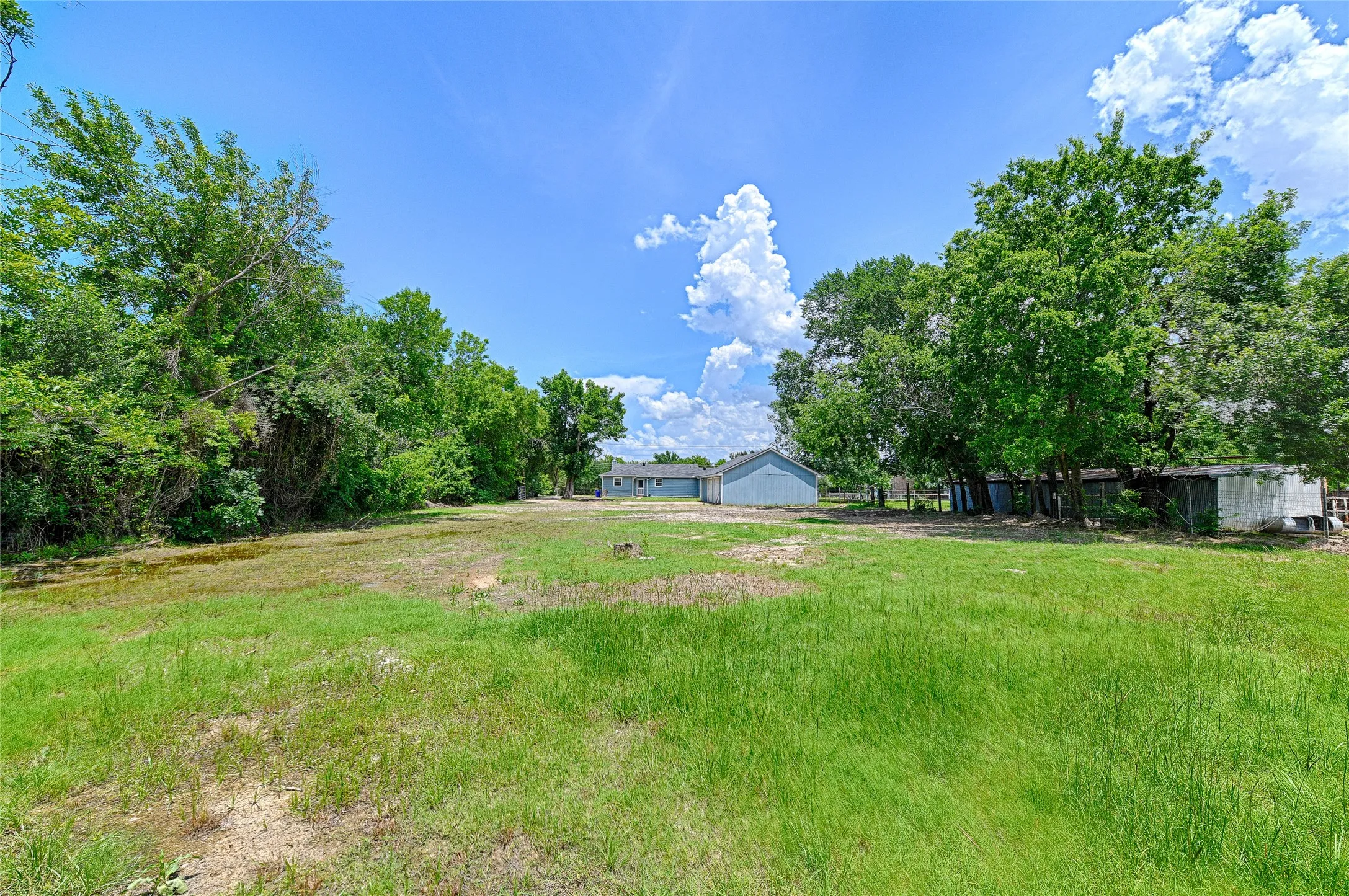 Large Back Yard
