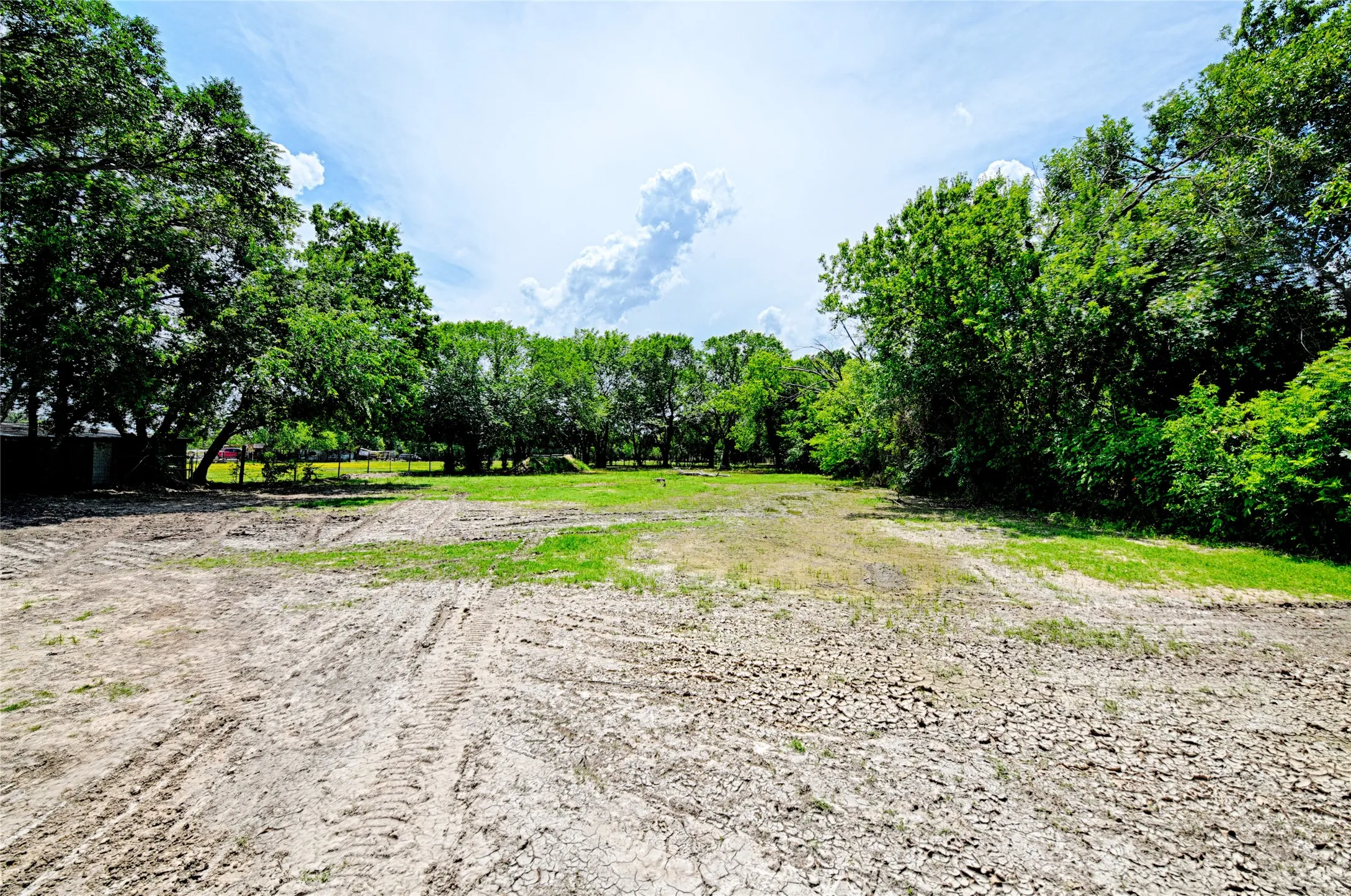 Large Back Yard