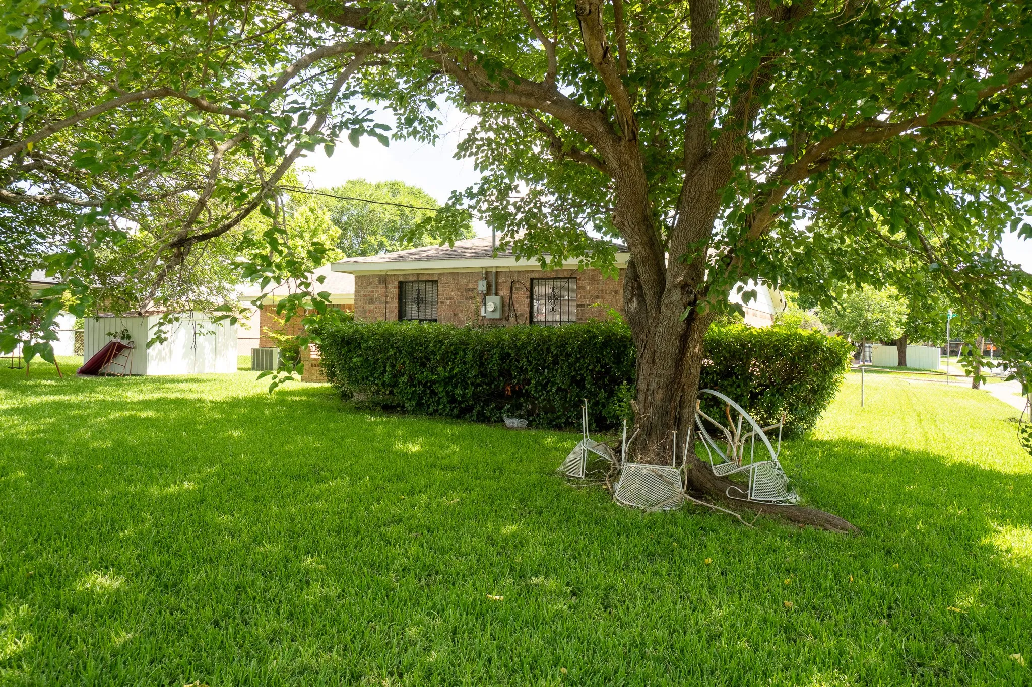 Expansive green lawn featuring a mature shade tree and established shrubbery