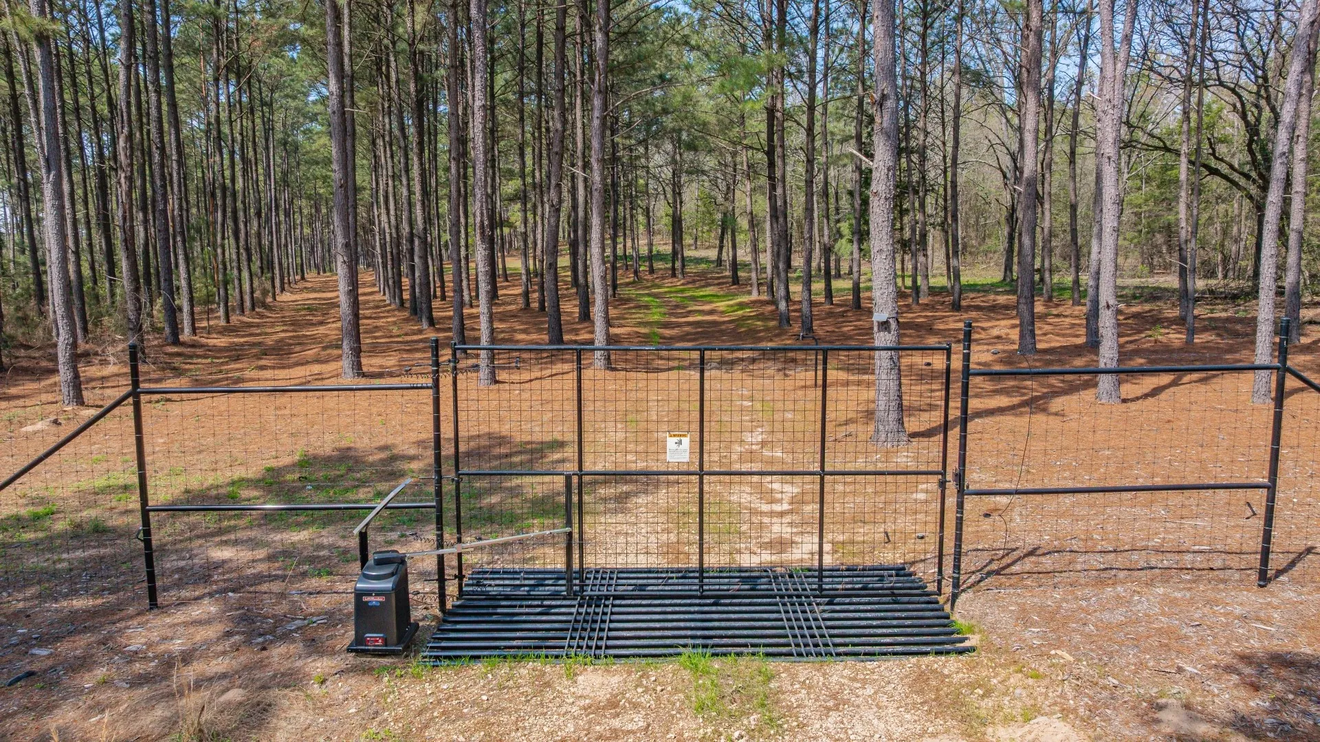 Improved Land For Sale in Cass County , 3400 CR 1240, Linden, Texas 75563, 0, 0, Garage spaces, 0 Sqft, built in 0, Price $7,900,000, mls#21290434, Real Estate Agent in Linden, Homes For Sale in Cass county, Homes For Sale in Linden, Realtor in Linden Texas, Real Estate Brokerage Independent Realty Texas, Luminita Cordes Realtor