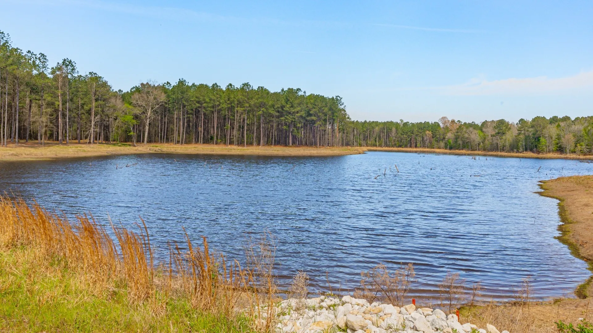 Improved Land For Sale in Cass County , 3400 CR 1240, Linden, Texas 75563, 0, 0, Garage spaces, 0 Sqft, built in 0, Price $7,900,000, mls#21290434, Real Estate Agent in Linden, Homes For Sale in Cass county, Homes For Sale in Linden, Realtor in Linden Texas, Real Estate Brokerage Independent Realty Texas, Luminita Cordes Realtor