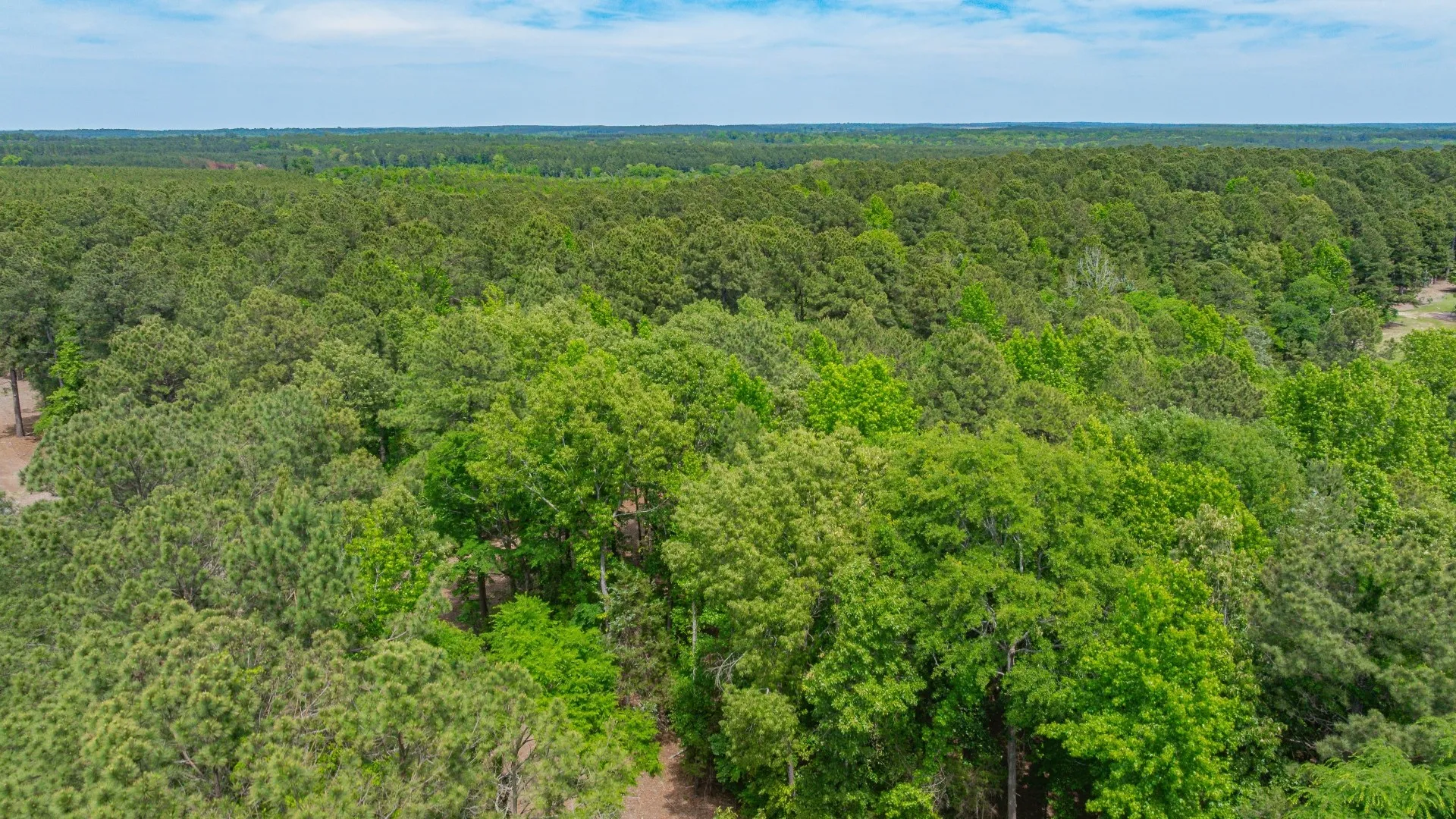 Improved Land For Sale in Cass County , 3400 CR 1240, Linden, Texas 75563, 0, 0, Garage spaces, 0 Sqft, built in 0, Price $7,900,000, mls#21290434, Real Estate Agent in Linden, Homes For Sale in Cass county, Homes For Sale in Linden, Realtor in Linden Texas, Real Estate Brokerage Independent Realty Texas, Luminita Cordes Realtor