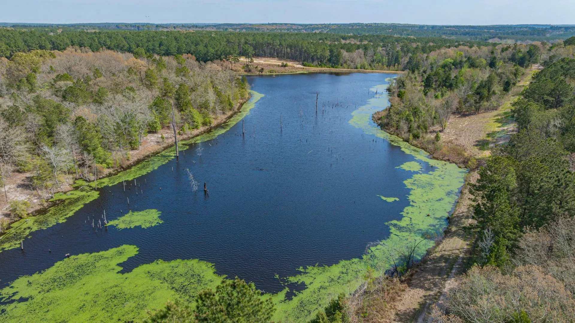 Improved Land For Sale in Cass County , 3400 CR 1240, Linden, Texas 75563, 0, 0, Garage spaces, 0 Sqft, built in 0, Price $7,900,000, mls#21290434, Real Estate Agent in Linden, Homes For Sale in Cass county, Homes For Sale in Linden, Realtor in Linden Texas, Real Estate Brokerage Independent Realty Texas, Luminita Cordes Realtor