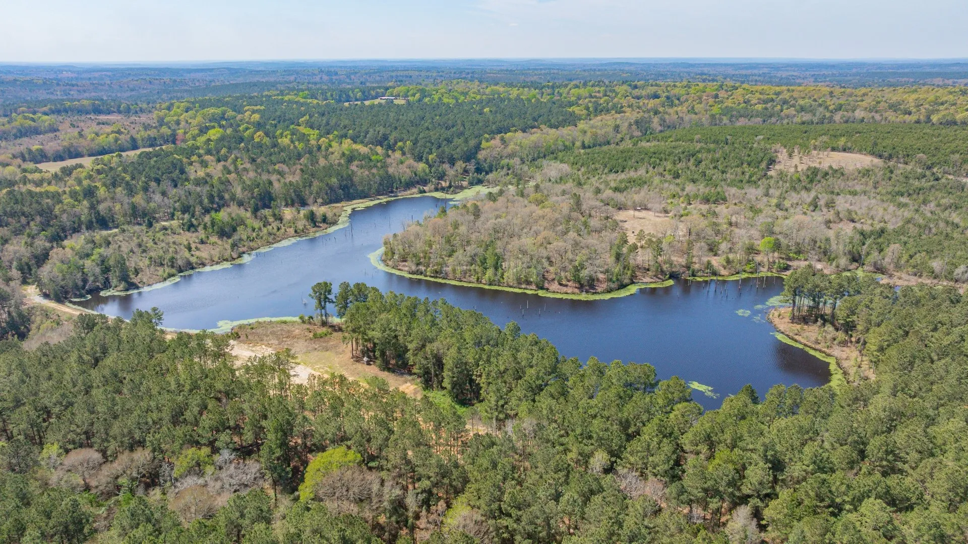 Improved Land For Sale in Cass County , 3400 CR 1240, Linden, Texas 75563, 0, 0, Garage spaces, 0 Sqft, built in 0, Price $7,900,000, mls#21290434, Real Estate Agent in Linden, Homes For Sale in Cass county, Homes For Sale in Linden, Realtor in Linden Texas, Real Estate Brokerage Independent Realty Texas, Luminita Cordes Realtor
