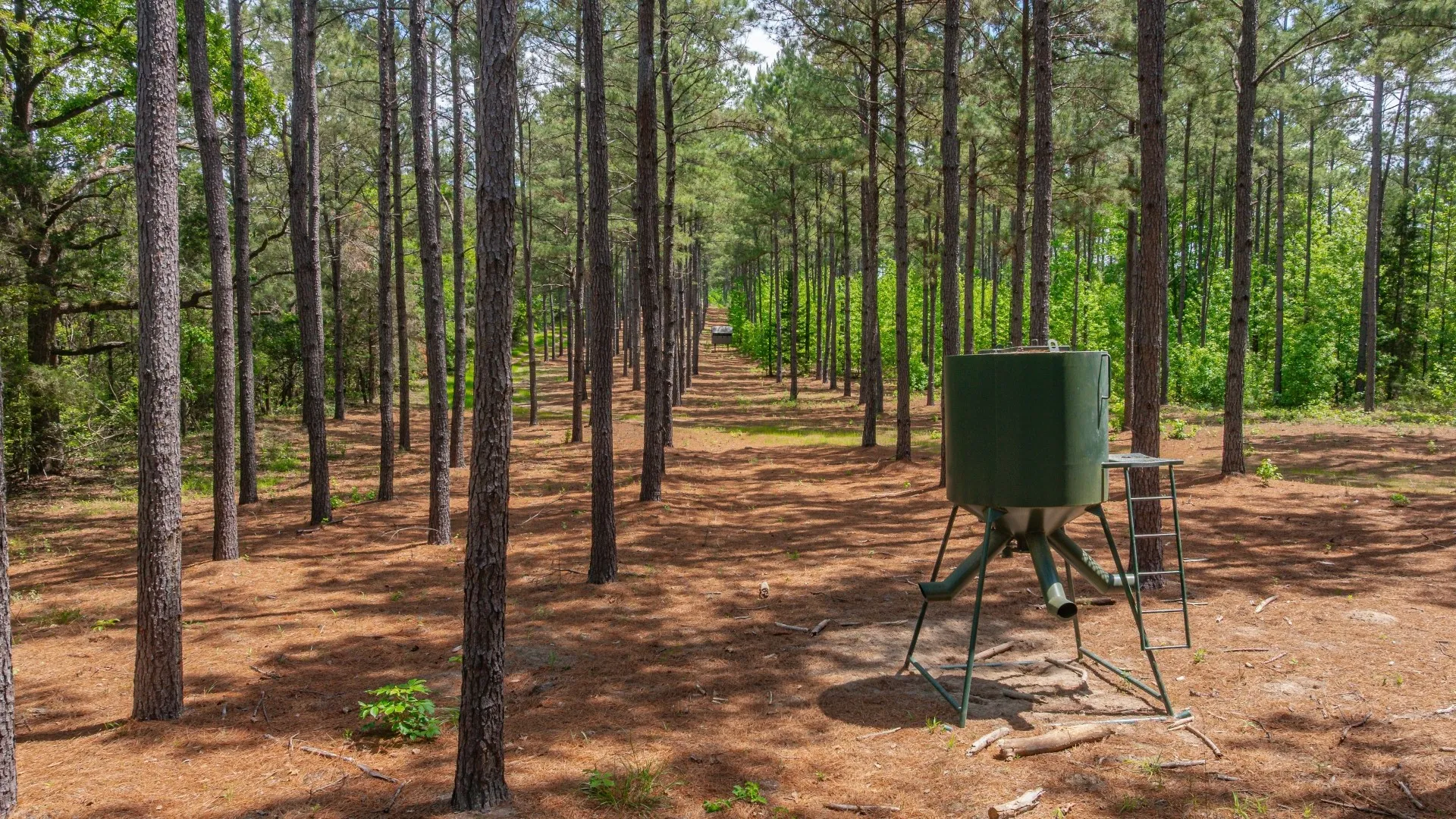 Improved Land For Sale in Cass County , 3400 CR 1240, Linden, Texas 75563, 0, 0, Garage spaces, 0 Sqft, built in 0, Price $7,900,000, mls#21290434, Real Estate Agent in Linden, Homes For Sale in Cass county, Homes For Sale in Linden, Realtor in Linden Texas, Real Estate Brokerage Independent Realty Texas, Luminita Cordes Realtor