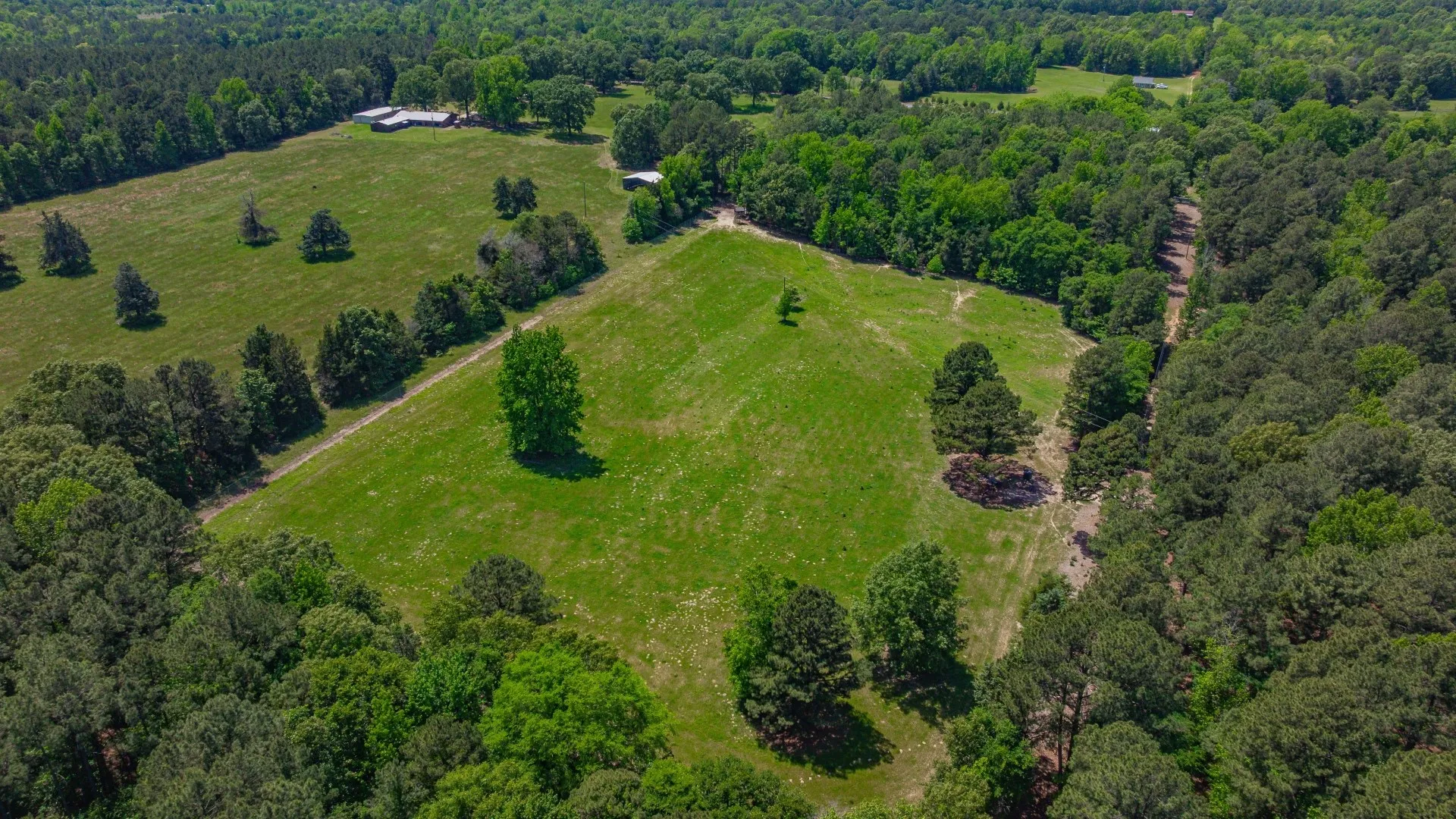 Improved Land For Sale in Cass County , 3400 CR 1240, Linden, Texas 75563, 0, 0, Garage spaces, 0 Sqft, built in 0, Price $7,900,000, mls#21290434, Real Estate Agent in Linden, Homes For Sale in Cass county, Homes For Sale in Linden, Realtor in Linden Texas, Real Estate Brokerage Independent Realty Texas, Luminita Cordes Realtor