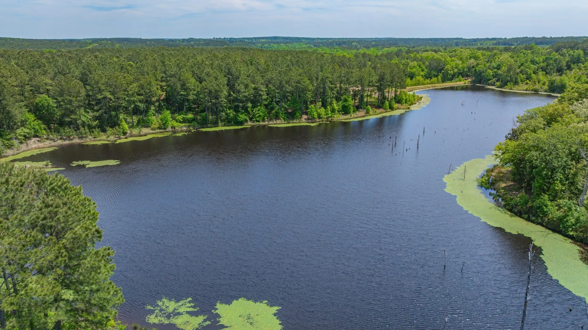 Improved Land For Sale in Cass County , 3400 CR 1240, Linden, Texas 75563, 0, 0, Garage spaces, 0 Sqft, built in 0, Price $7,900,000, mls#21290434, Real Estate Agent in Linden, Homes For Sale in Cass county, Homes For Sale in Linden, Realtor in Linden Texas, Real Estate Brokerage Independent Realty Texas, Luminita Cordes Realtor