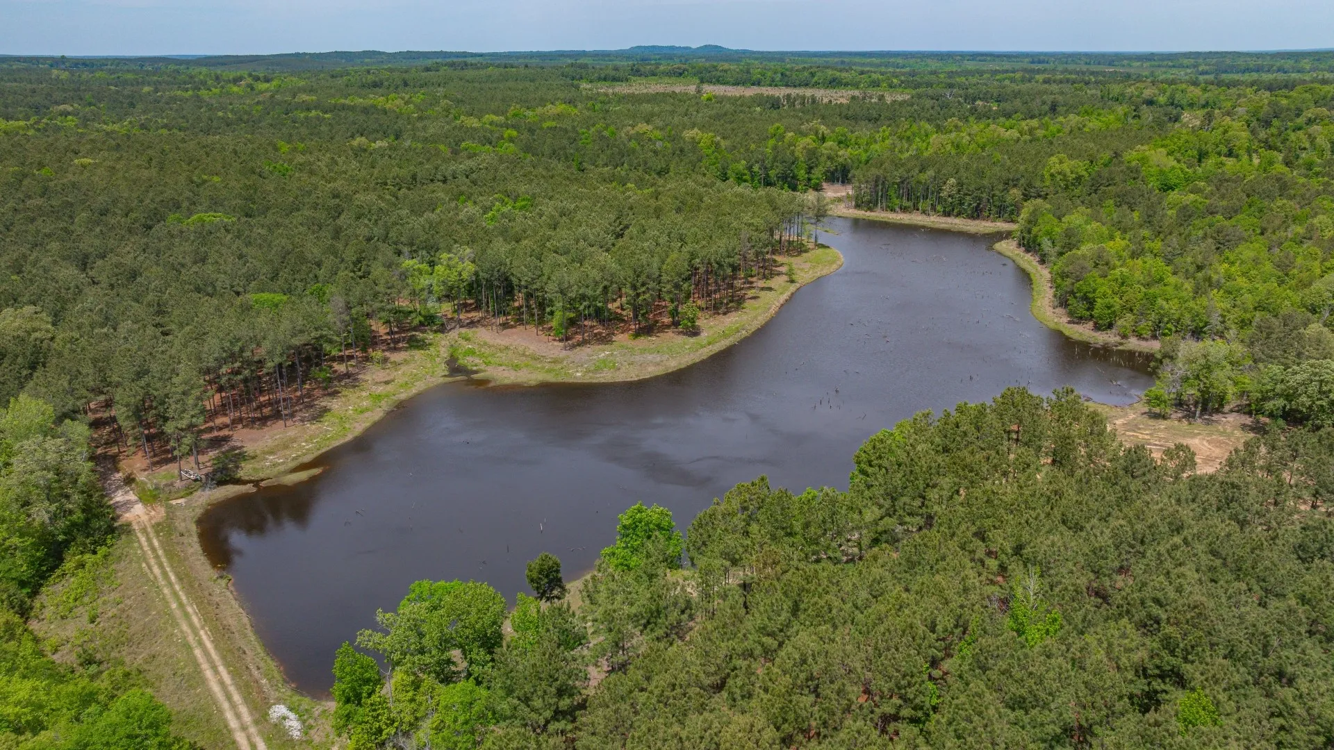 Improved Land For Sale in Cass County , 3400 CR 1240, Linden, Texas 75563, 0, 0, Garage spaces, 0 Sqft, built in 0, Price $7,900,000, mls#21290434, Real Estate Agent in Linden, Homes For Sale in Cass county, Homes For Sale in Linden, Realtor in Linden Texas, Real Estate Brokerage Independent Realty Texas, Luminita Cordes Realtor