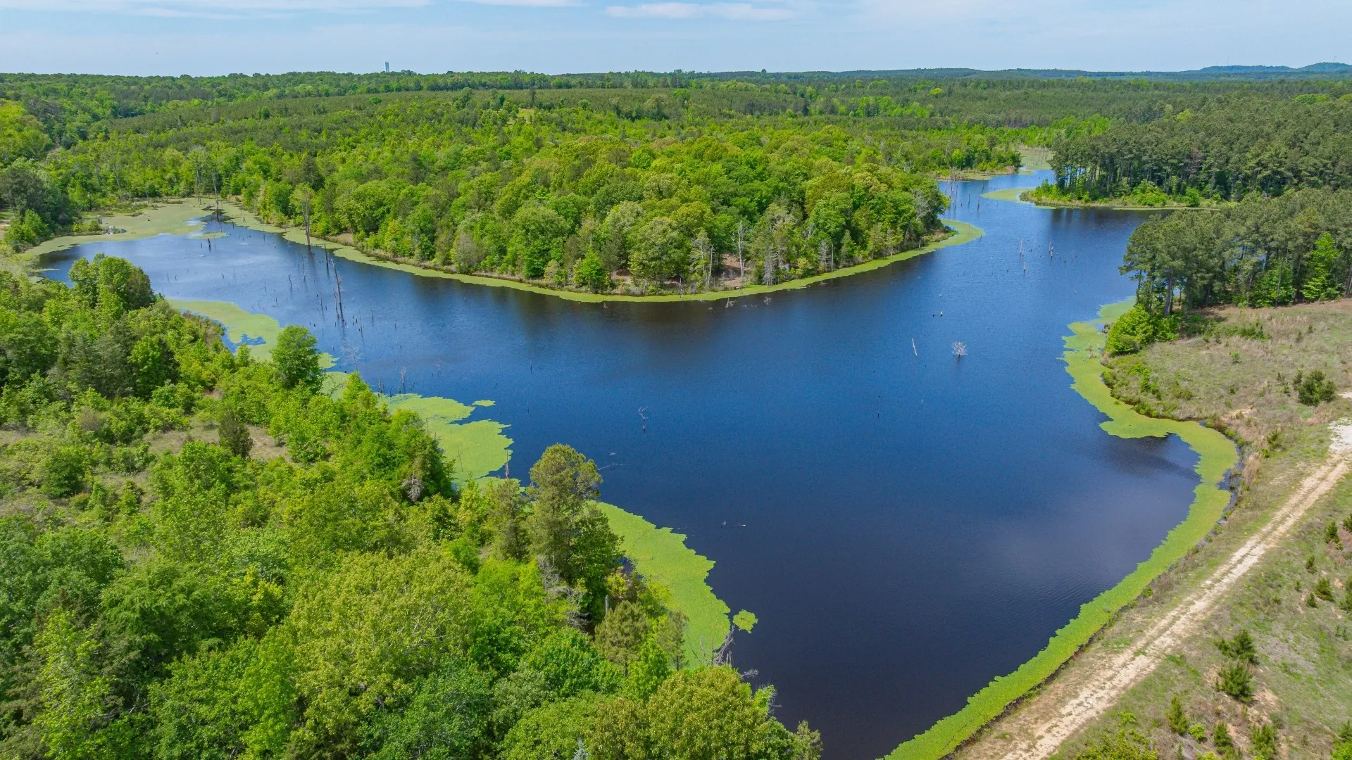 Improved Land For Sale in Cass County , 3400 CR 1240, Linden, Texas 75563, 0, 0, Garage spaces, 0 Sqft, built in 0, Price $7,900,000, mls#21290434, Real Estate Agent in Linden, Homes For Sale in Cass county, Homes For Sale in Linden, Realtor in Linden Texas, Real Estate Brokerage Independent Realty Texas, Luminita Cordes Realtor
