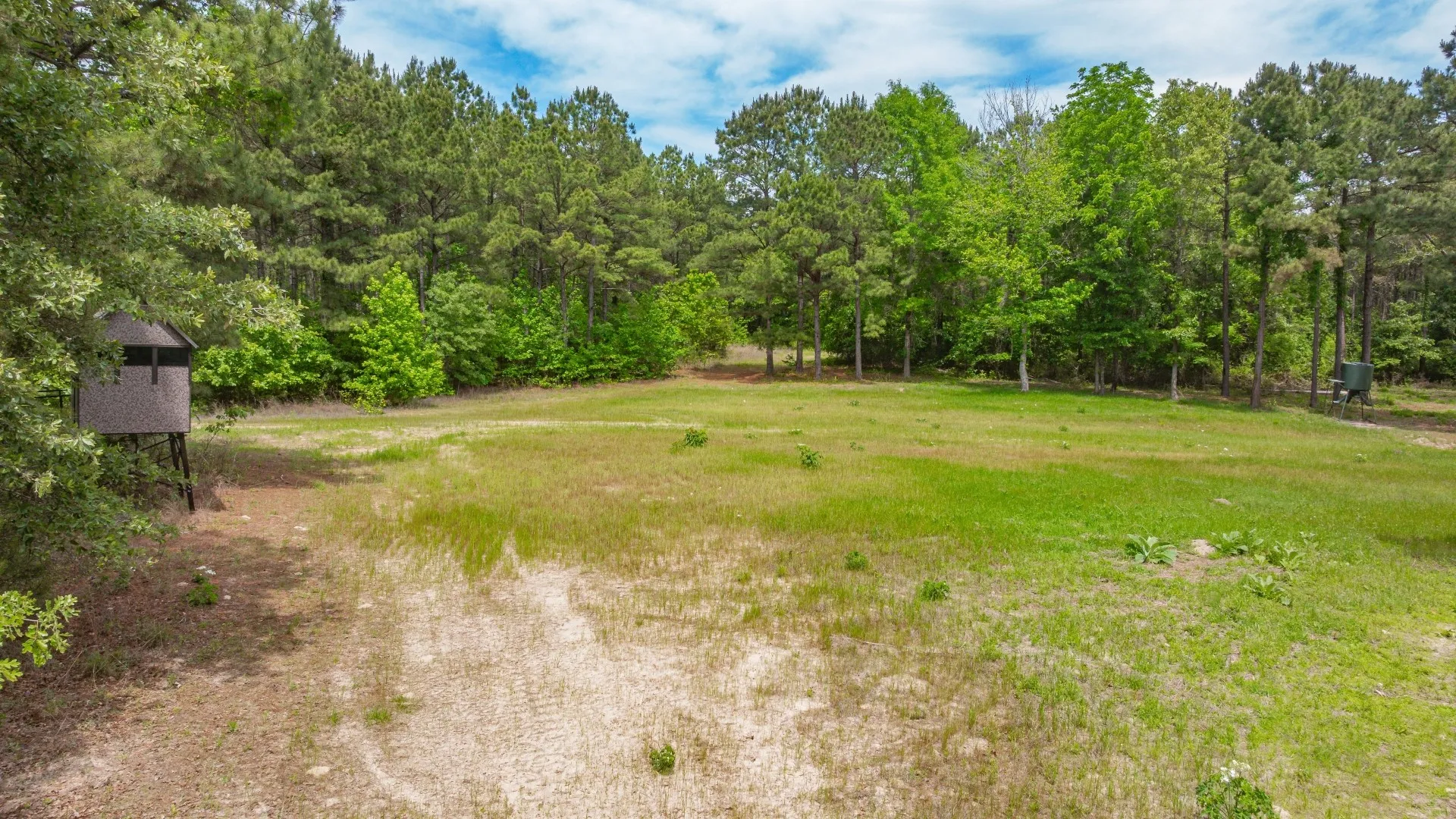Improved Land For Sale in Cass County , 3400 CR 1240, Linden, Texas 75563, 0, 0, Garage spaces, 0 Sqft, built in 0, Price $7,900,000, mls#21290434, Real Estate Agent in Linden, Homes For Sale in Cass county, Homes For Sale in Linden, Realtor in Linden Texas, Real Estate Brokerage Independent Realty Texas, Luminita Cordes Realtor