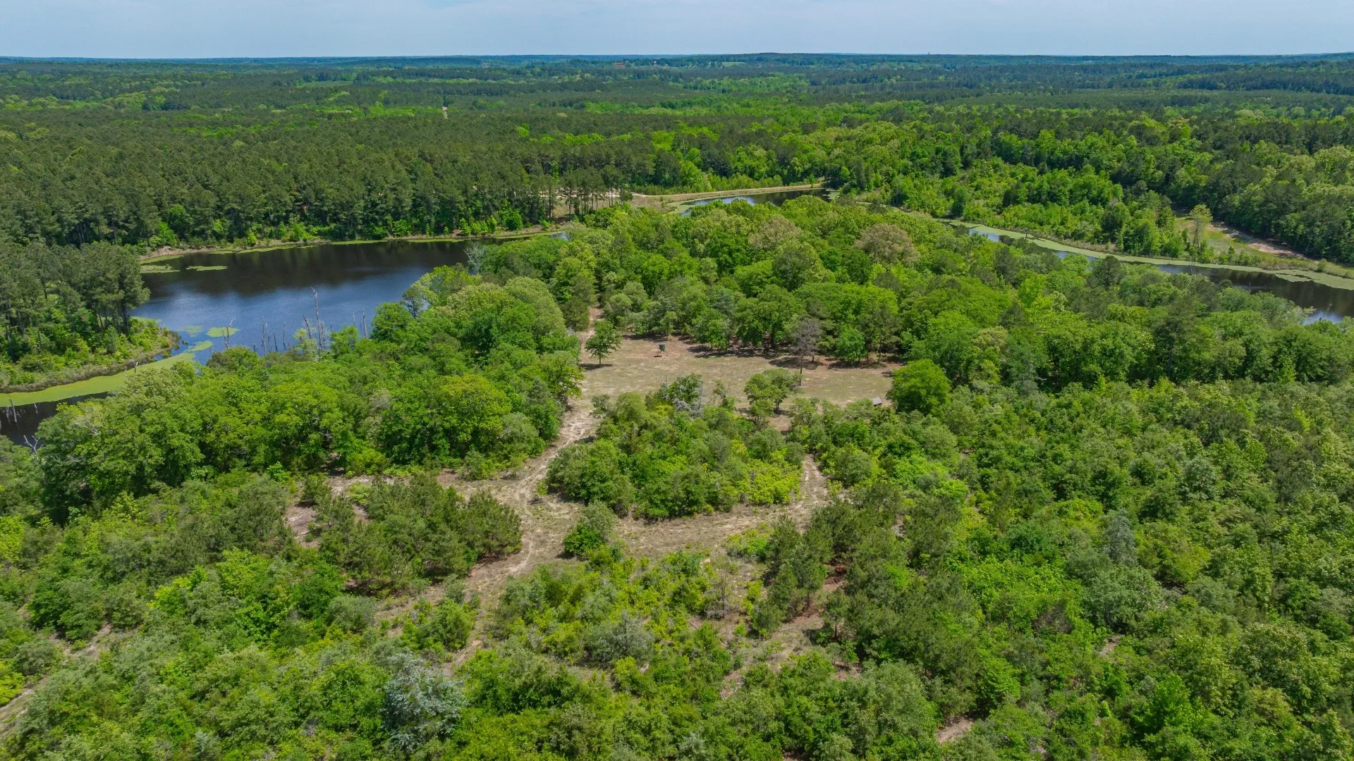 Improved Land For Sale in Cass County , 3400 CR 1240, Linden, Texas 75563, 0, 0, Garage spaces, 0 Sqft, built in 0, Price $7,900,000, mls#21290434, Real Estate Agent in Linden, Homes For Sale in Cass county, Homes For Sale in Linden, Realtor in Linden Texas, Real Estate Brokerage Independent Realty Texas, Luminita Cordes Realtor