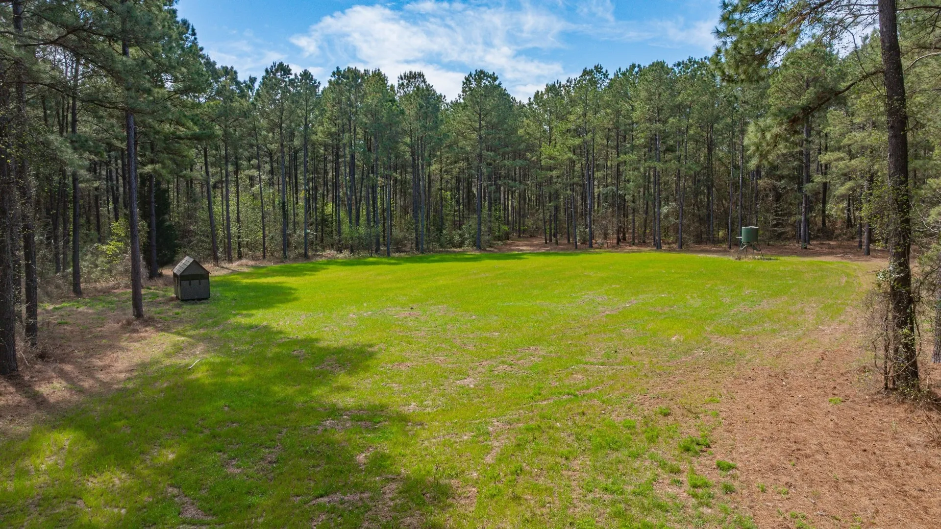 Improved Land For Sale in Cass County , 3400 CR 1240, Linden, Texas 75563, 0, 0, Garage spaces, 0 Sqft, built in 0, Price $7,900,000, mls#21290434, Real Estate Agent in Linden, Homes For Sale in Cass county, Homes For Sale in Linden, Realtor in Linden Texas, Real Estate Brokerage Independent Realty Texas, Luminita Cordes Realtor