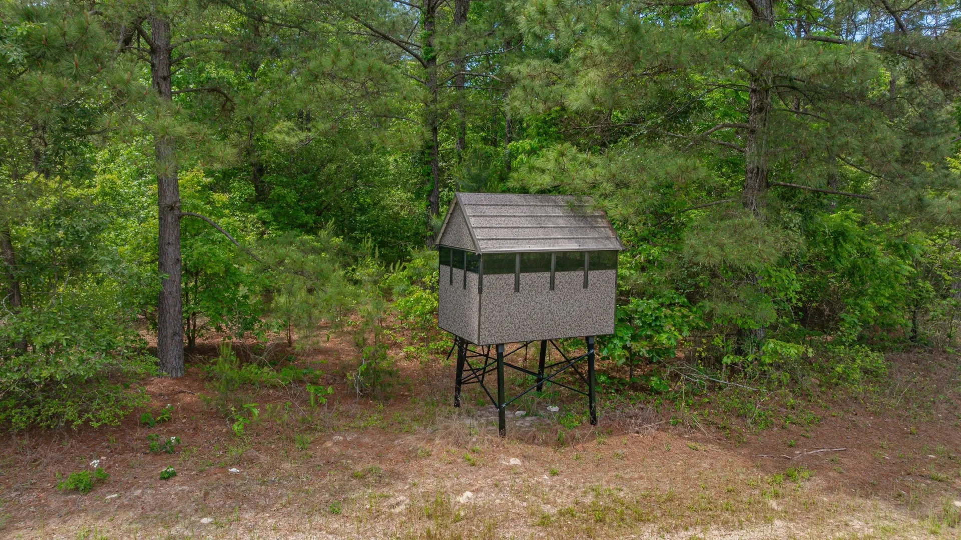 Improved Land For Sale in Cass County , 3400 CR 1240, Linden, Texas 75563, 0, 0, Garage spaces, 0 Sqft, built in 0, Price $7,900,000, mls#21290434, Real Estate Agent in Linden, Homes For Sale in Cass county, Homes For Sale in Linden, Realtor in Linden Texas, Real Estate Brokerage Independent Realty Texas, Luminita Cordes Realtor